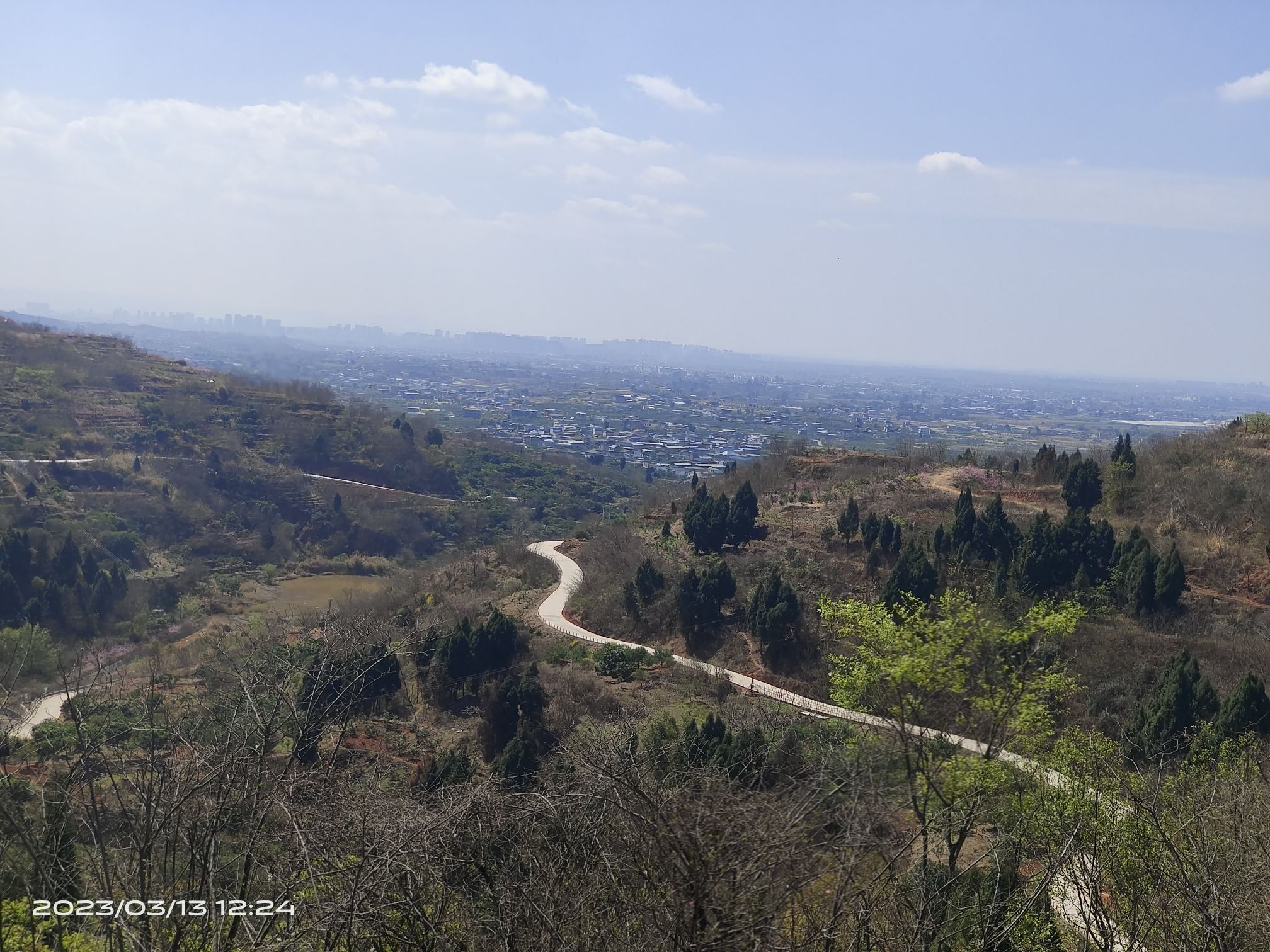 松林桃花山旅行图片 3