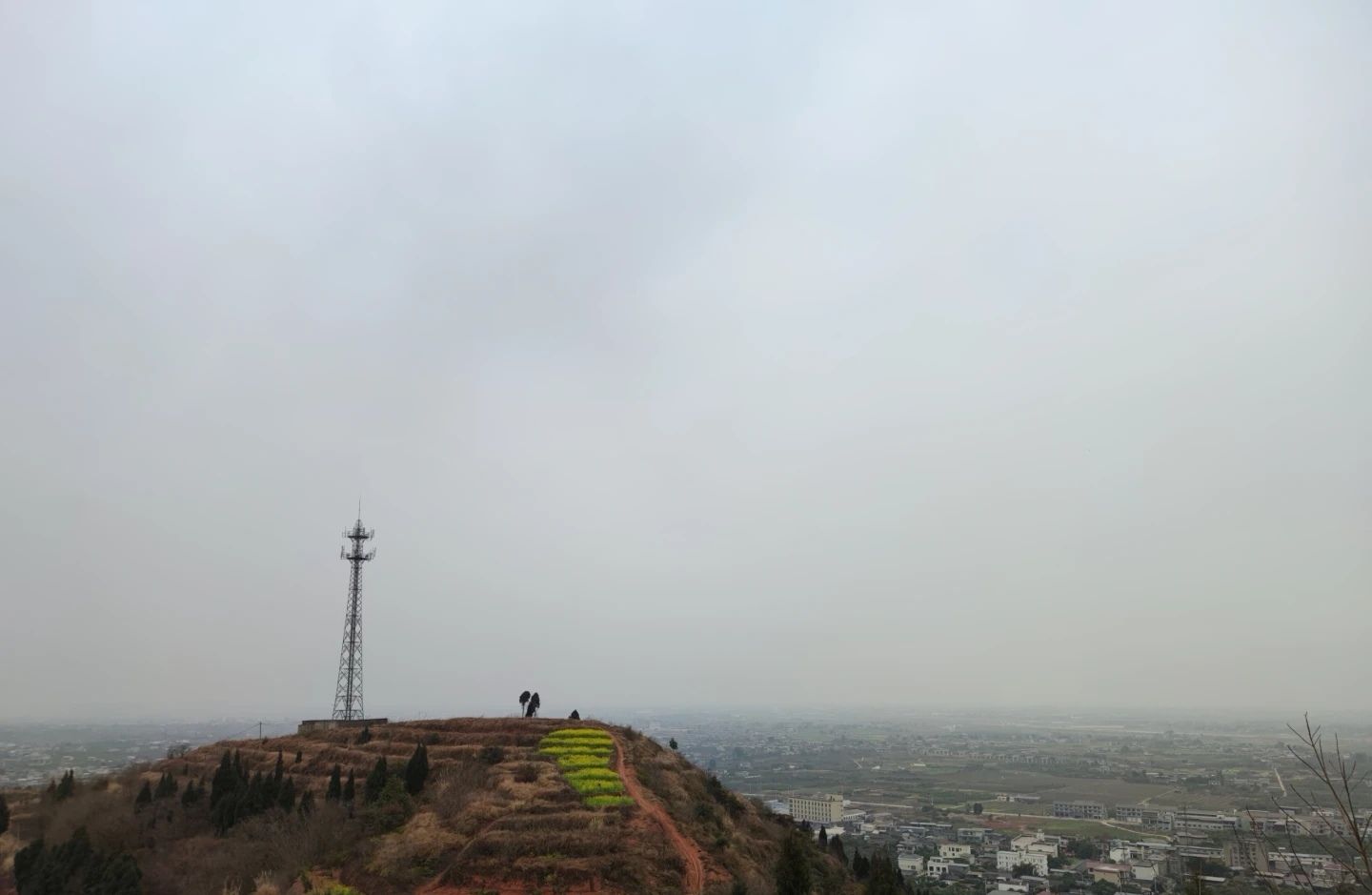 松林桃花山旅行图片 3