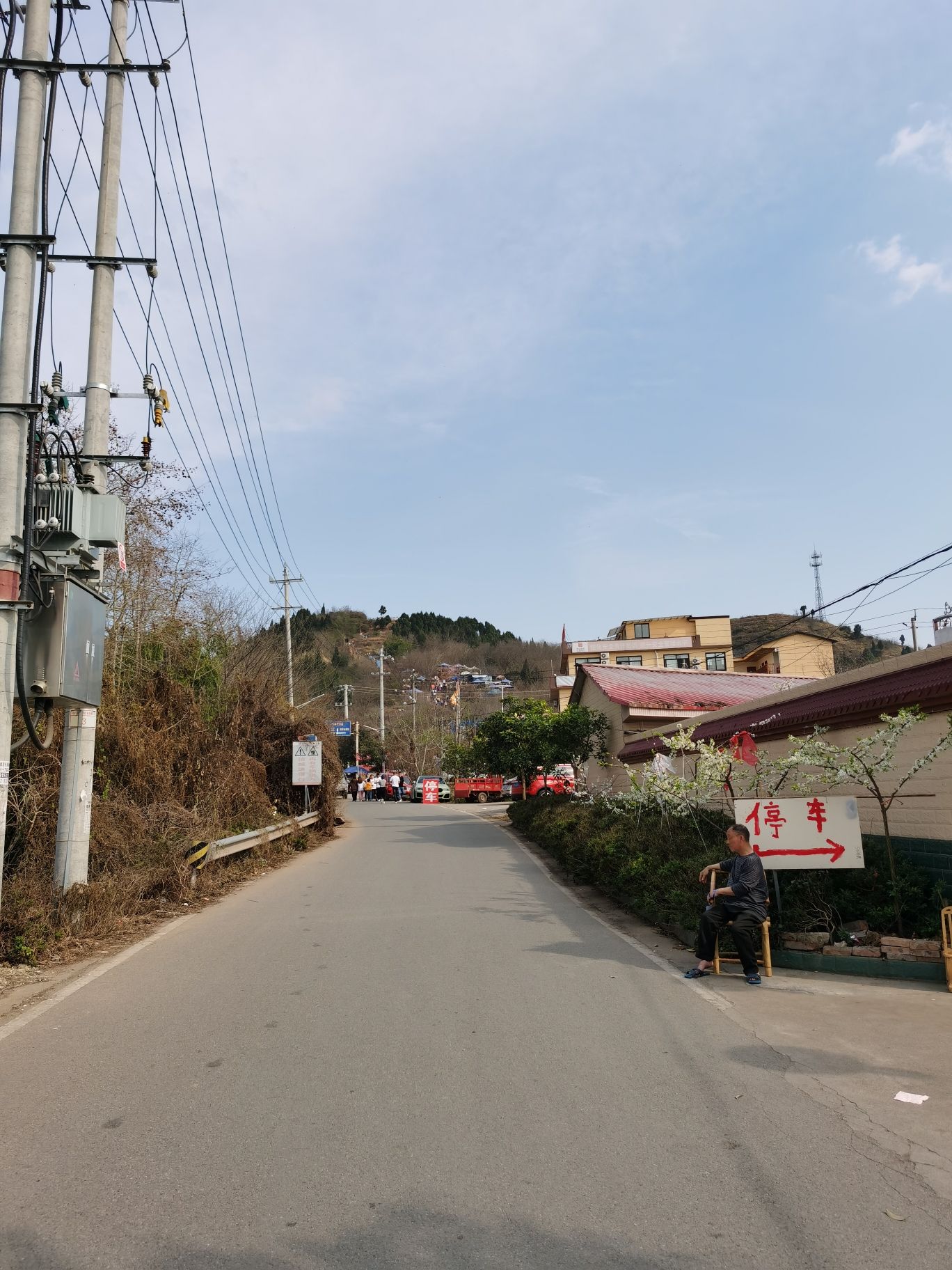 松林桃花山旅行图片 2