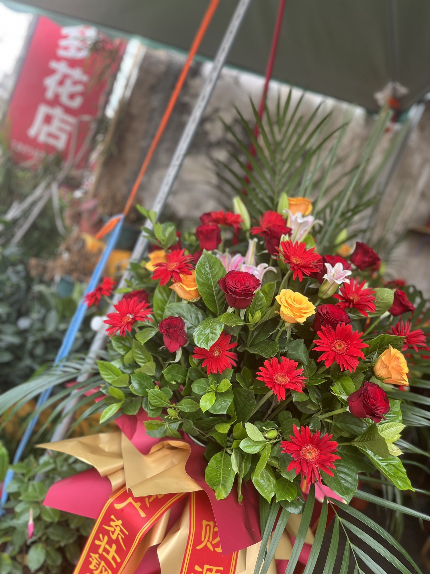 广东省揭阳市揭东区乡道星梦花店