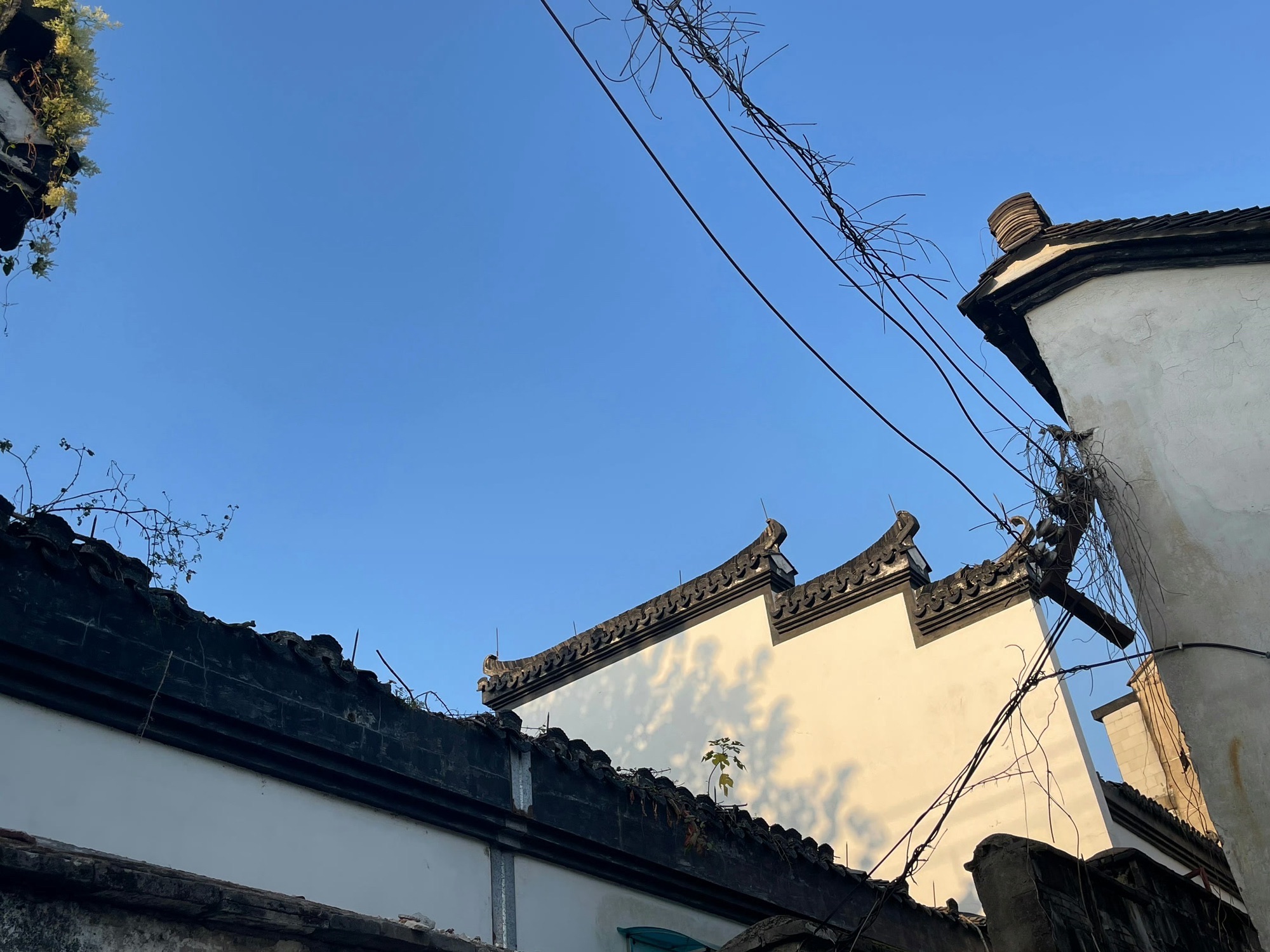 兰溪·天下江南景区旅行图片 3
