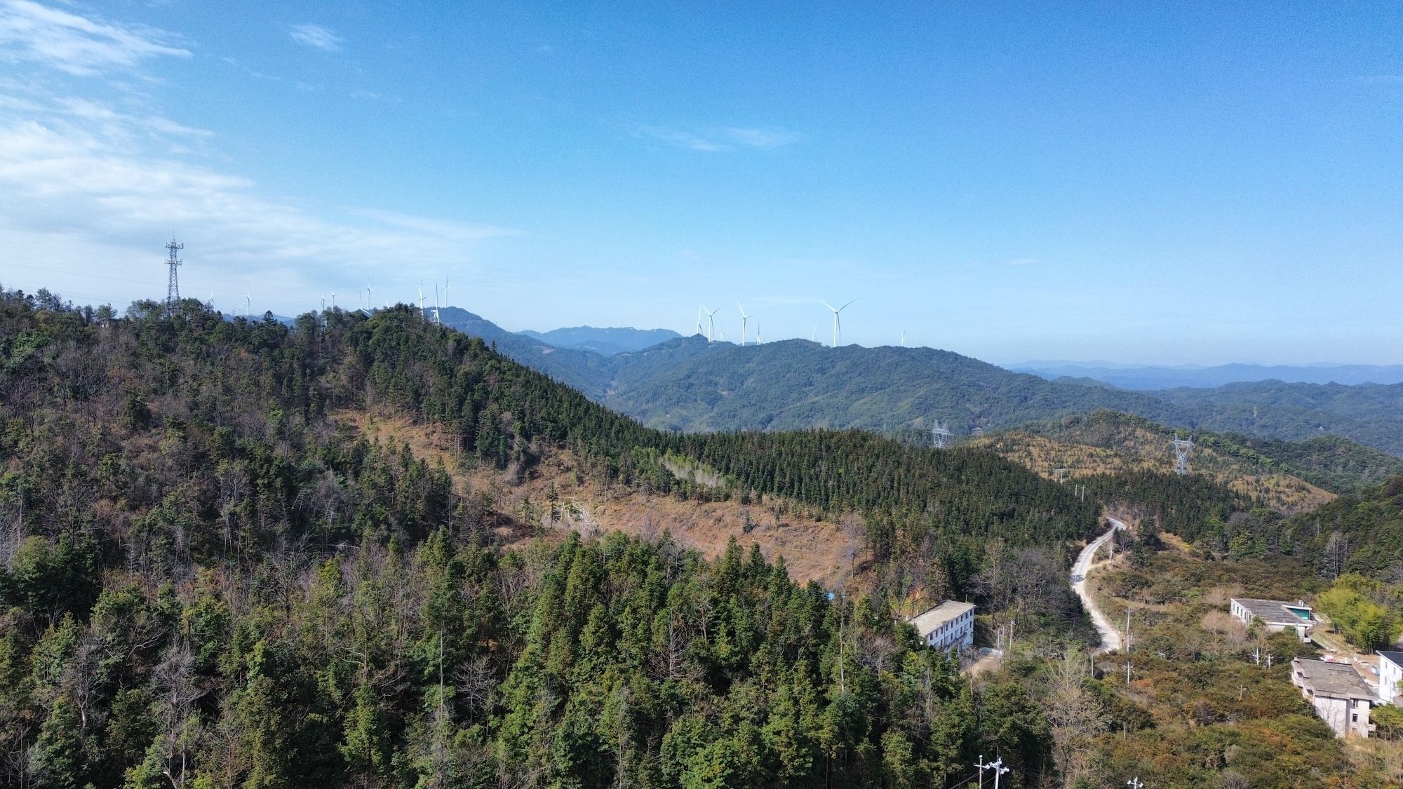 天排山登山步道旅行图片 3