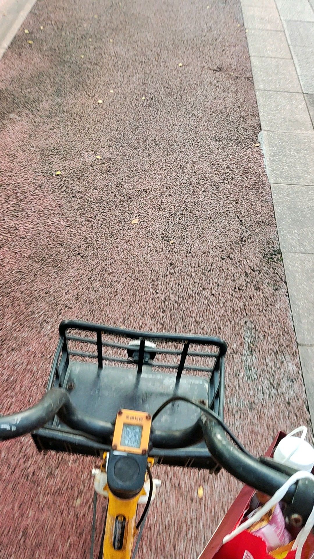大自然公园旅行图片 1