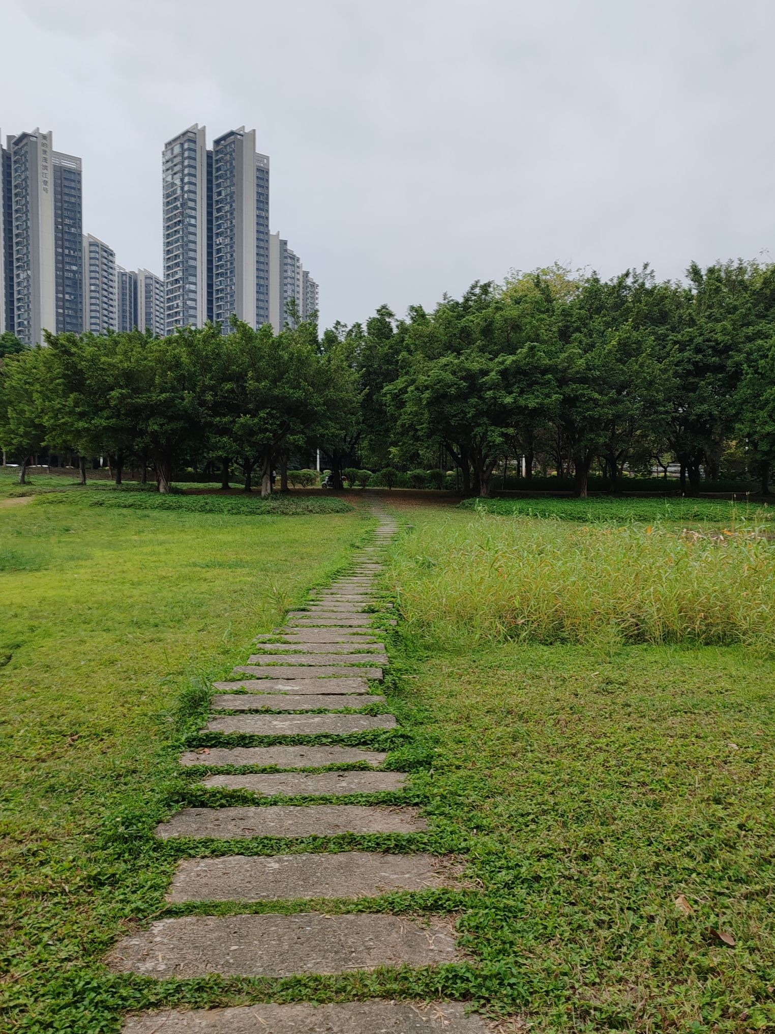 大自然公园旅行图片 2