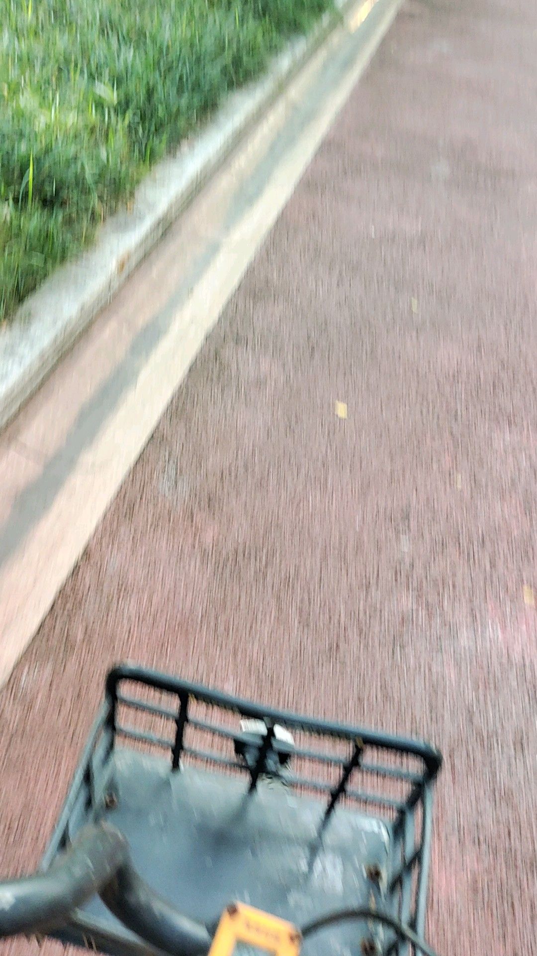 大自然公园旅行图片 2