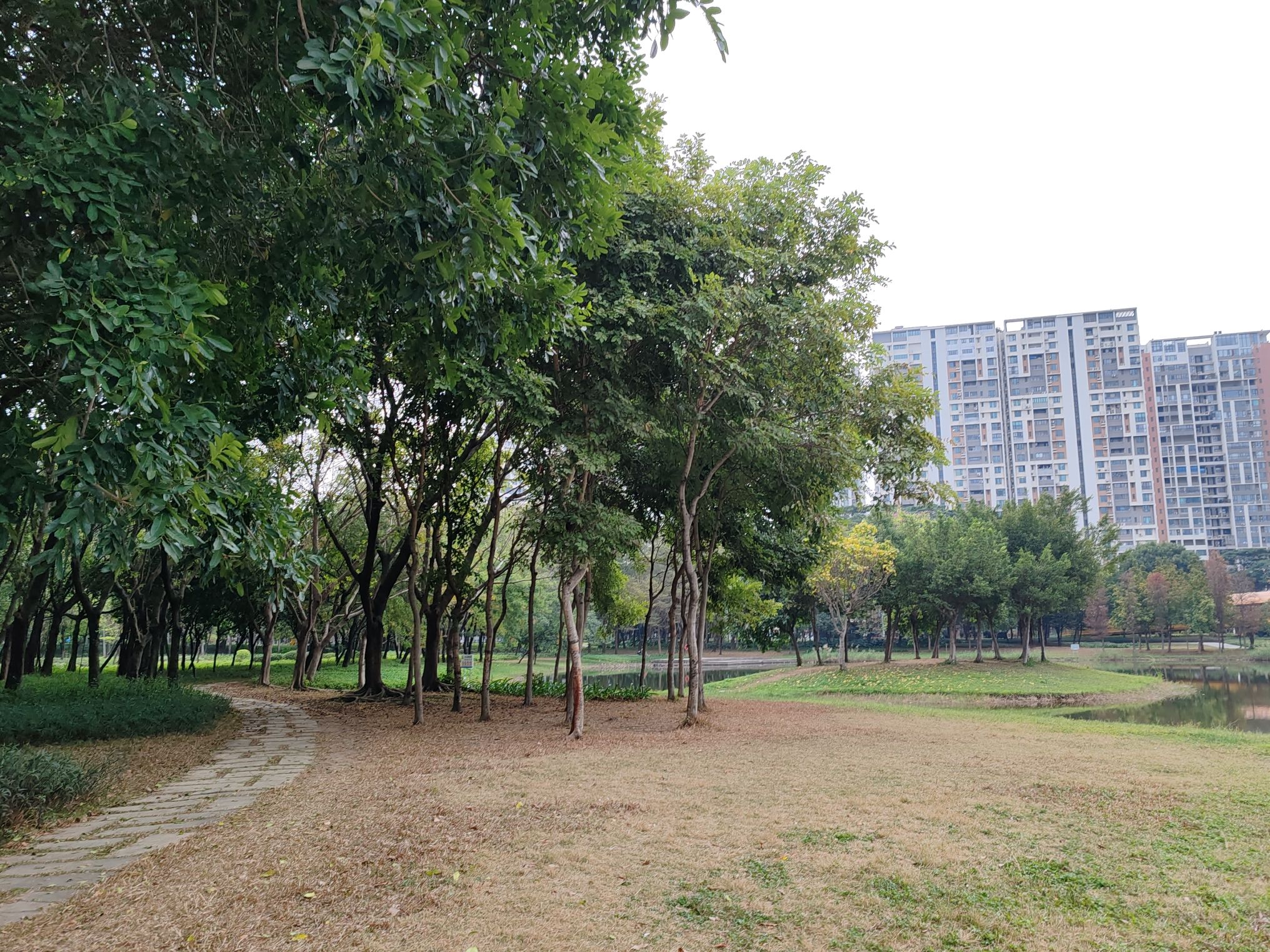 大自然公园旅行图片 3