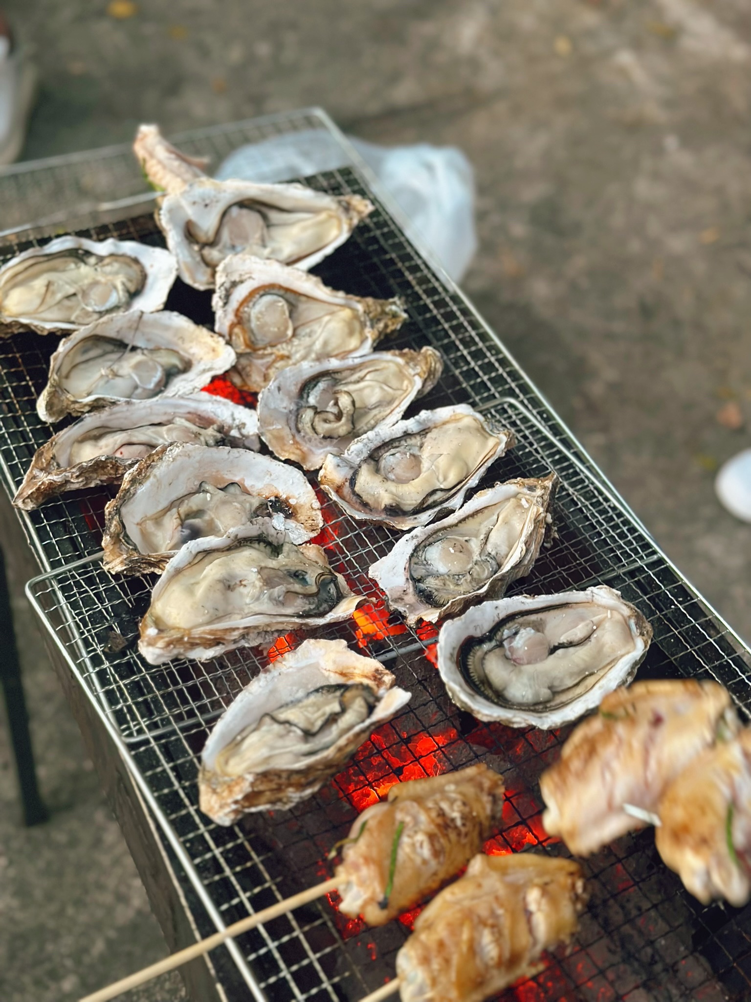 大自然公园旅行图片 3