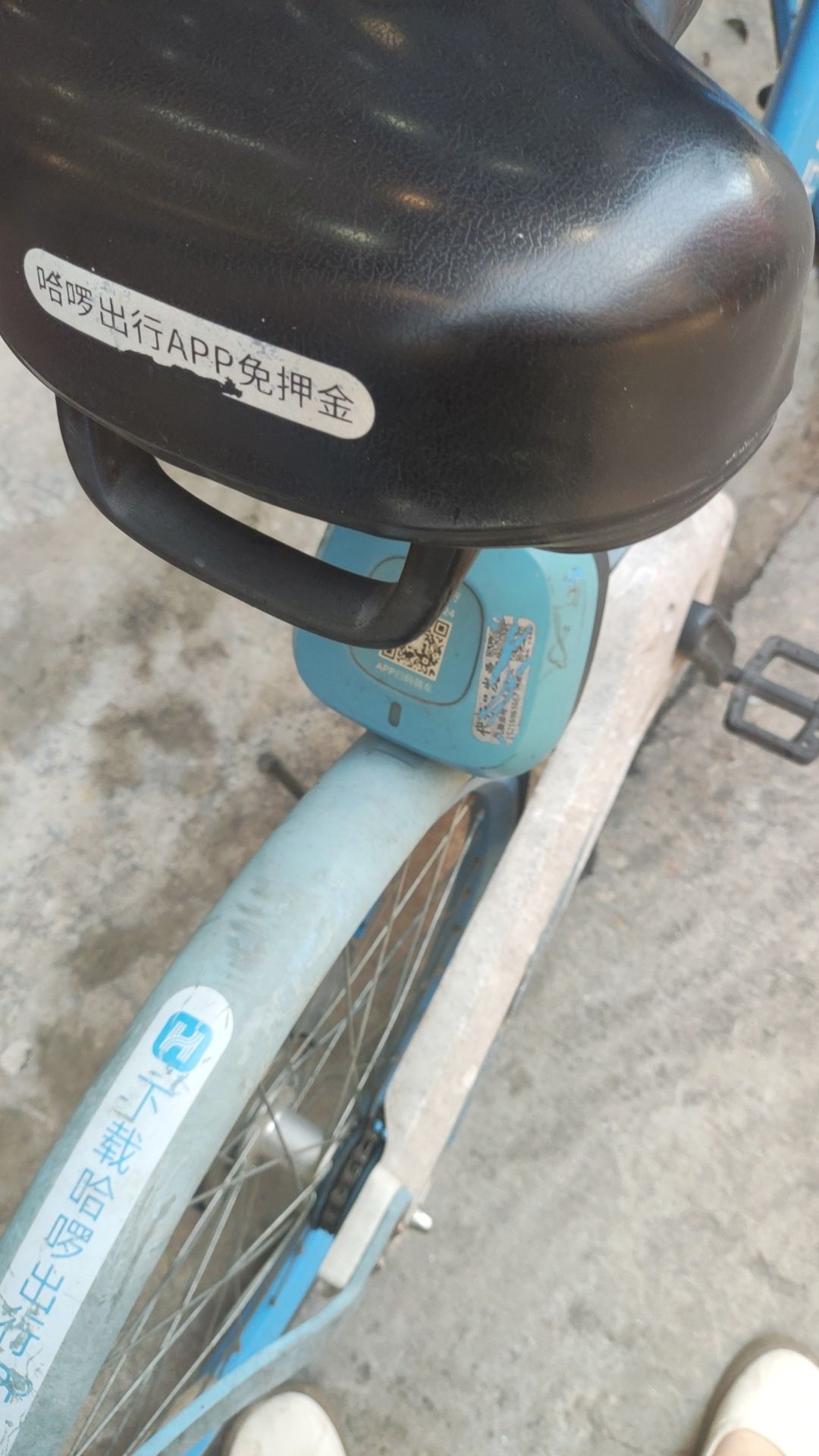 大自然公园旅行图片 3