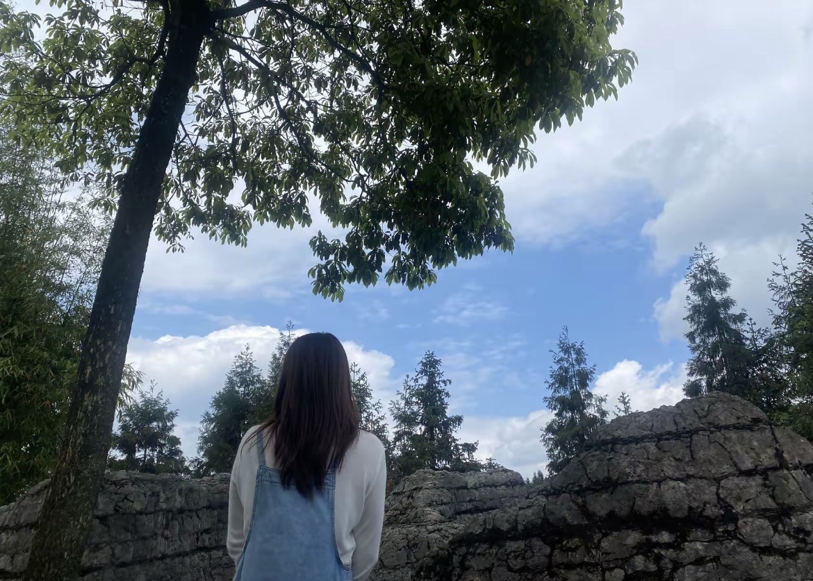 僰人巨石阵景区旅行图片 1