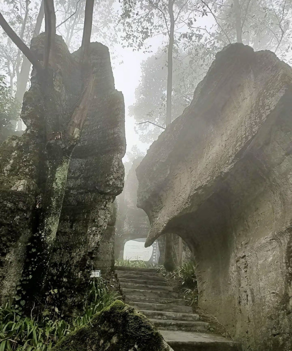 僰人巨石阵景区旅行图片 3