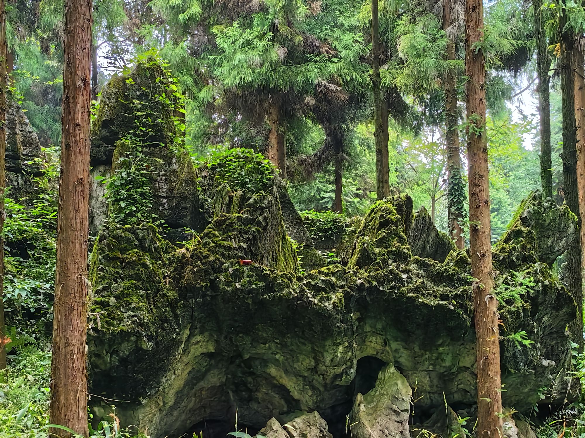 僰人巨石阵景区旅行图片 3