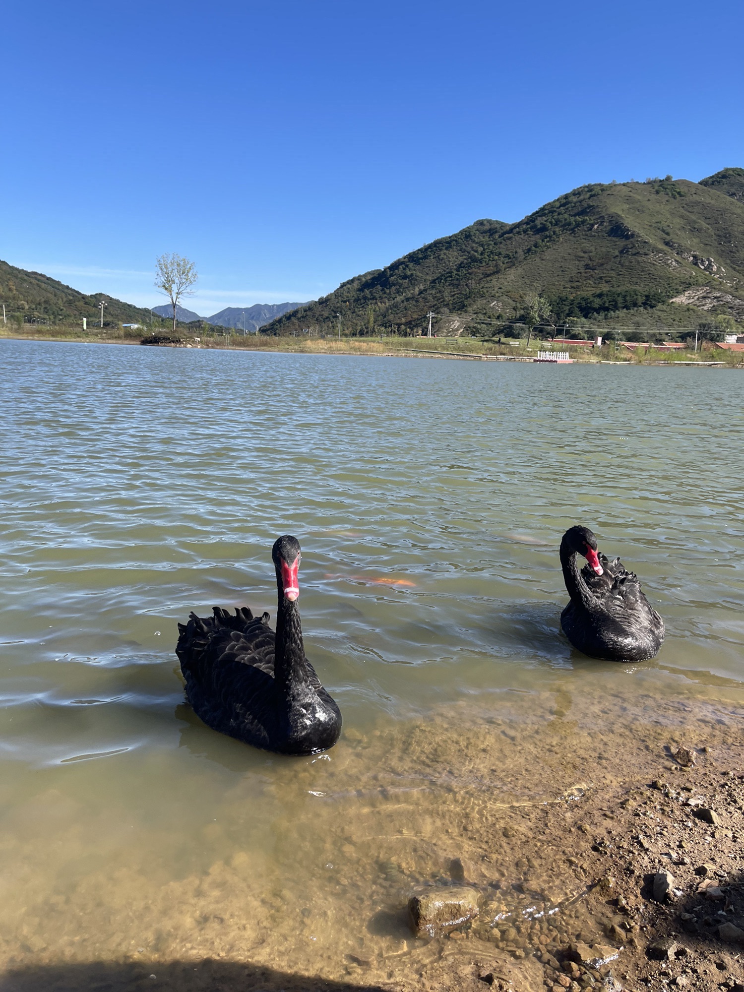 海坨山谷国际旅游度假区旅行图片 2