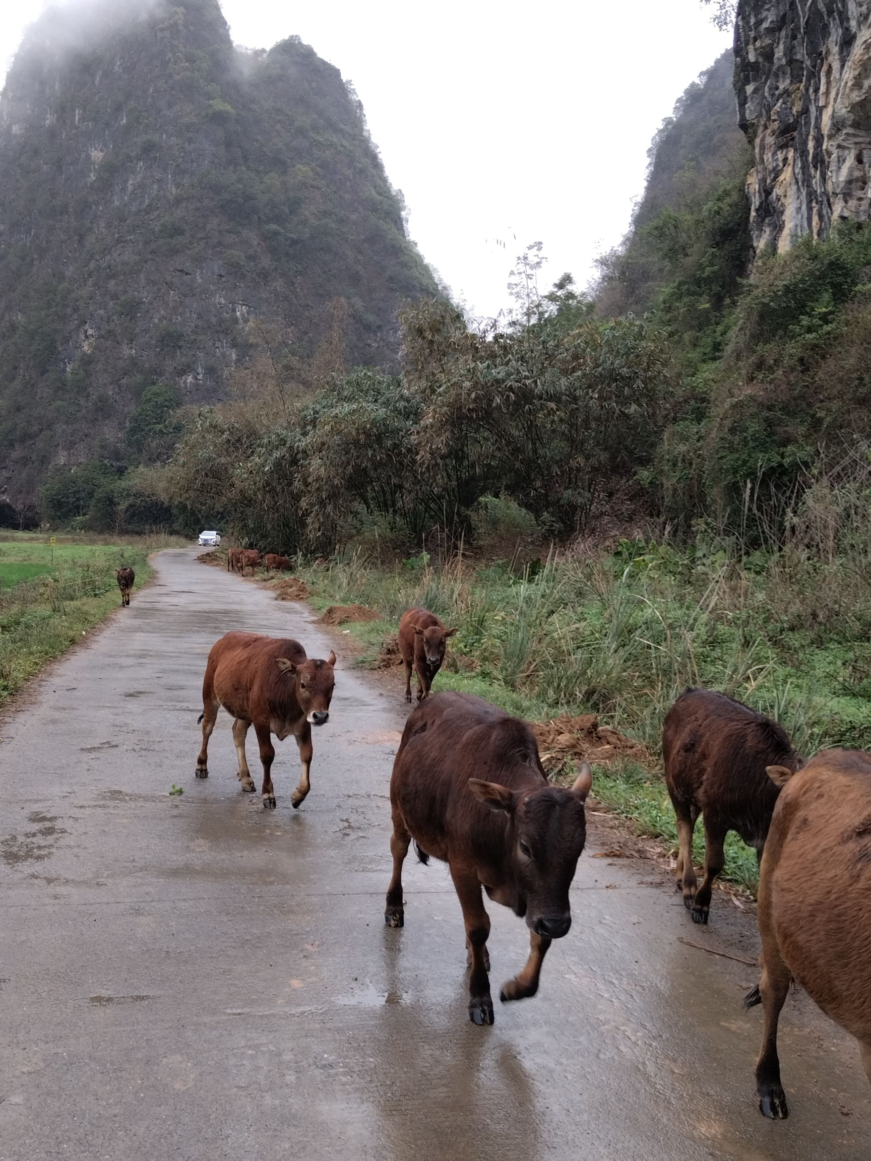 和顺岩溶洞旅行图片 3
