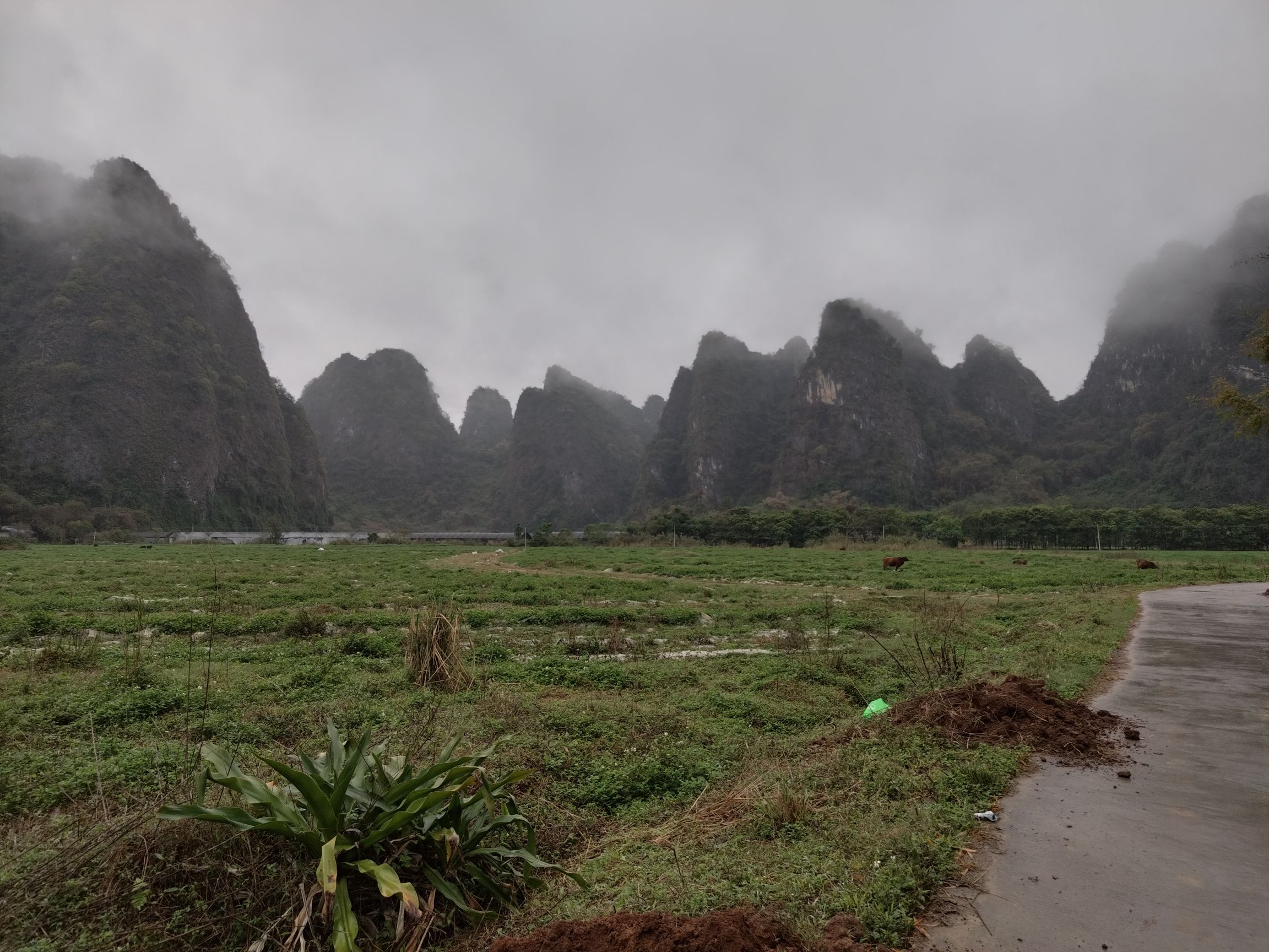 和顺岩溶洞旅行图片 2