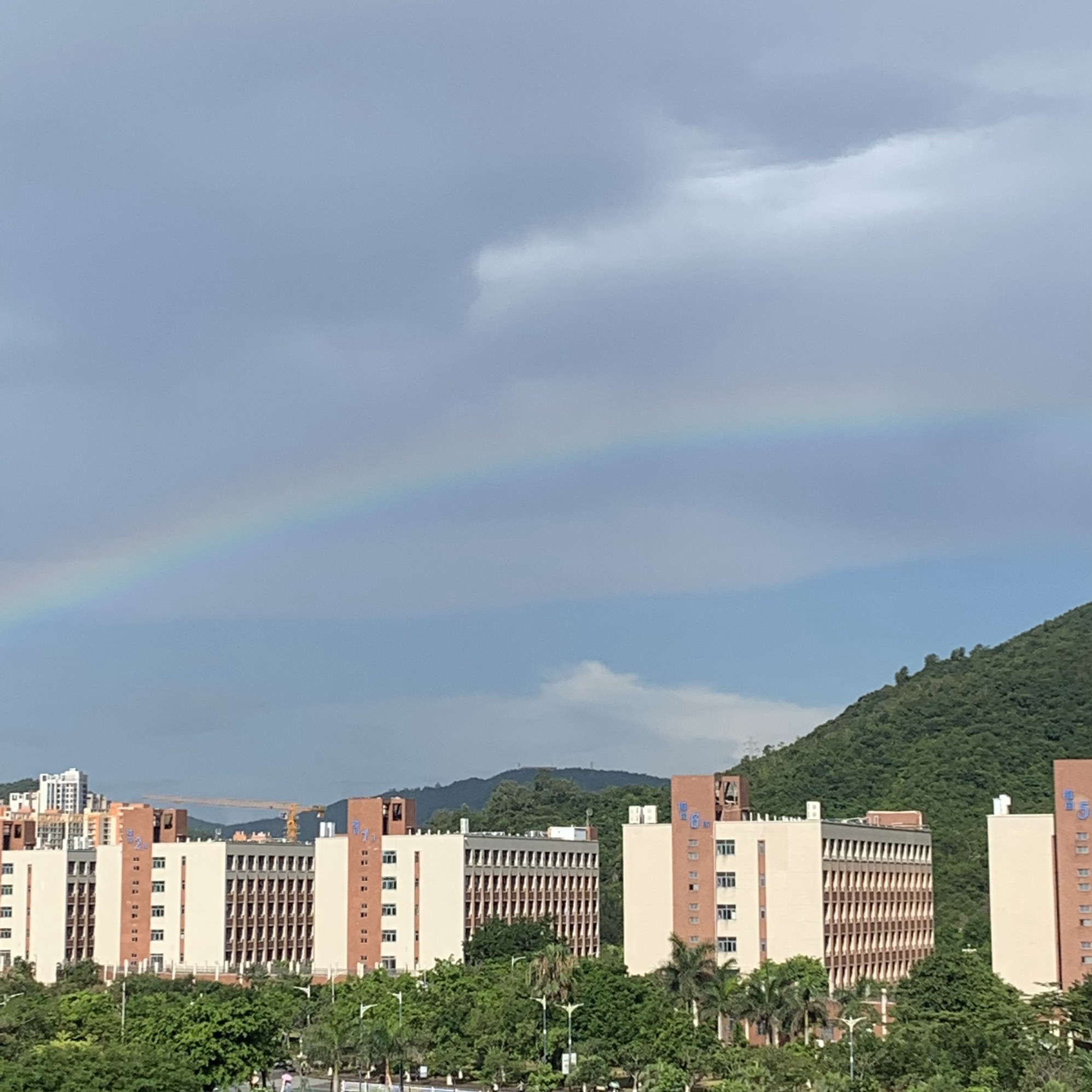 珠海科技学院