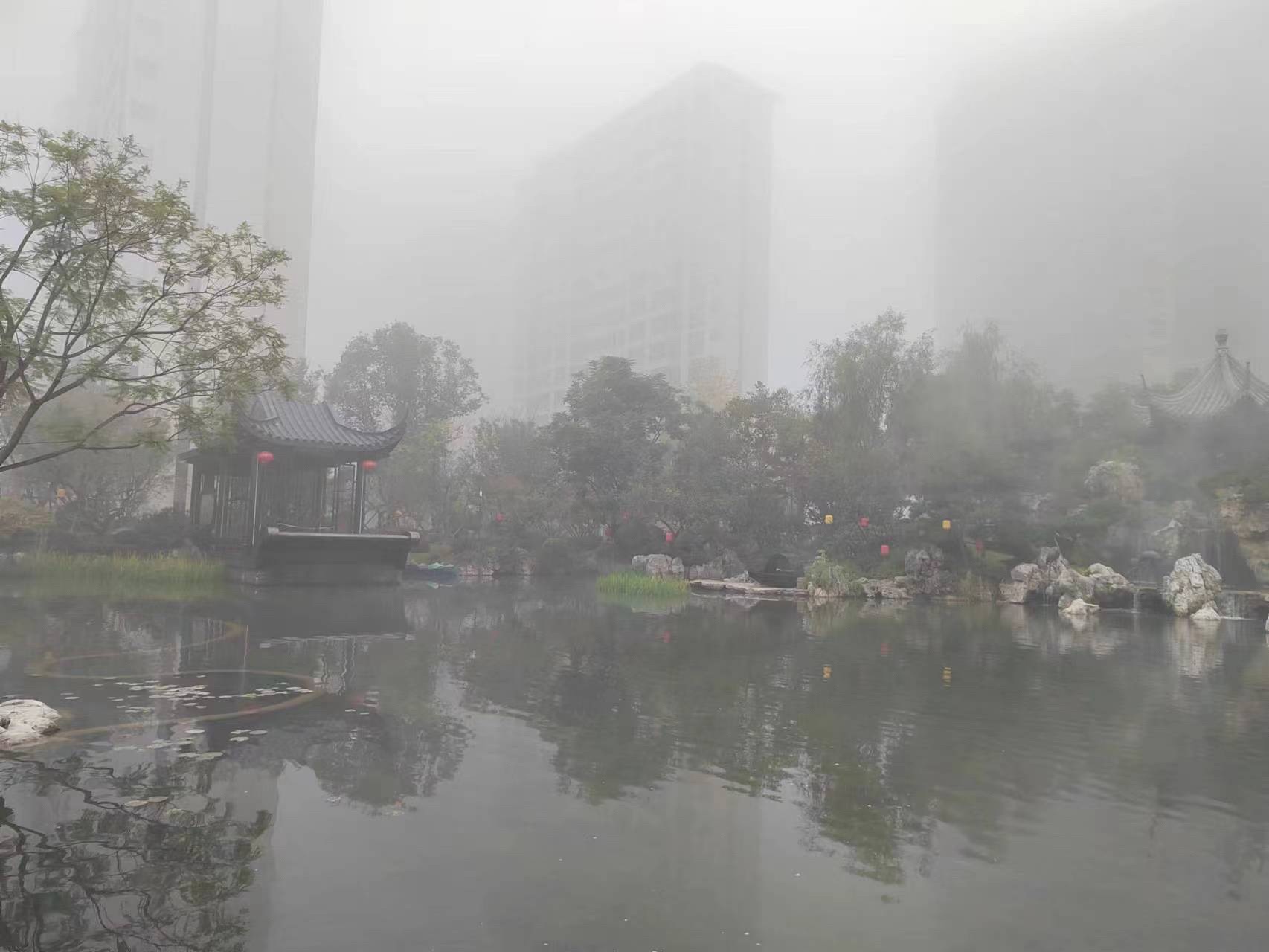 西子湖旅行图片 3