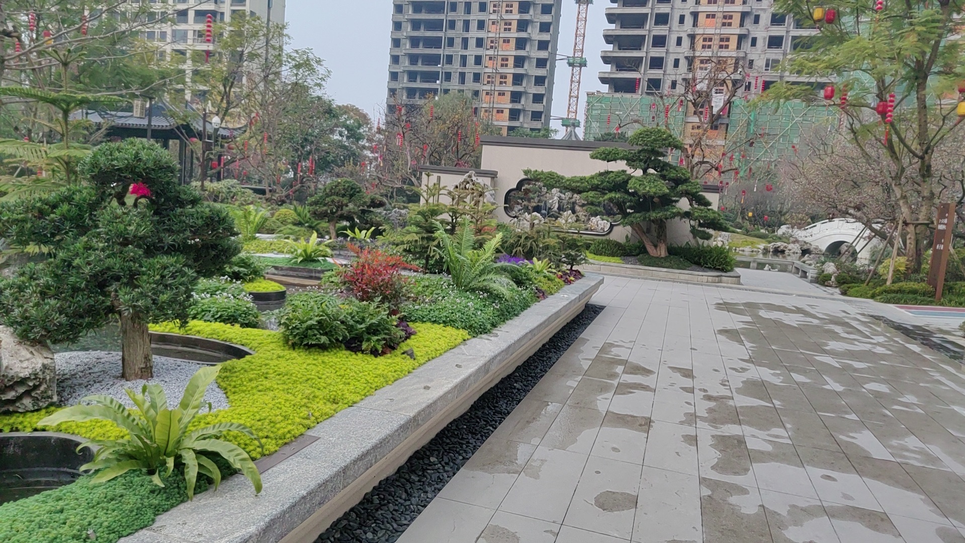 西子湖旅行图片 1