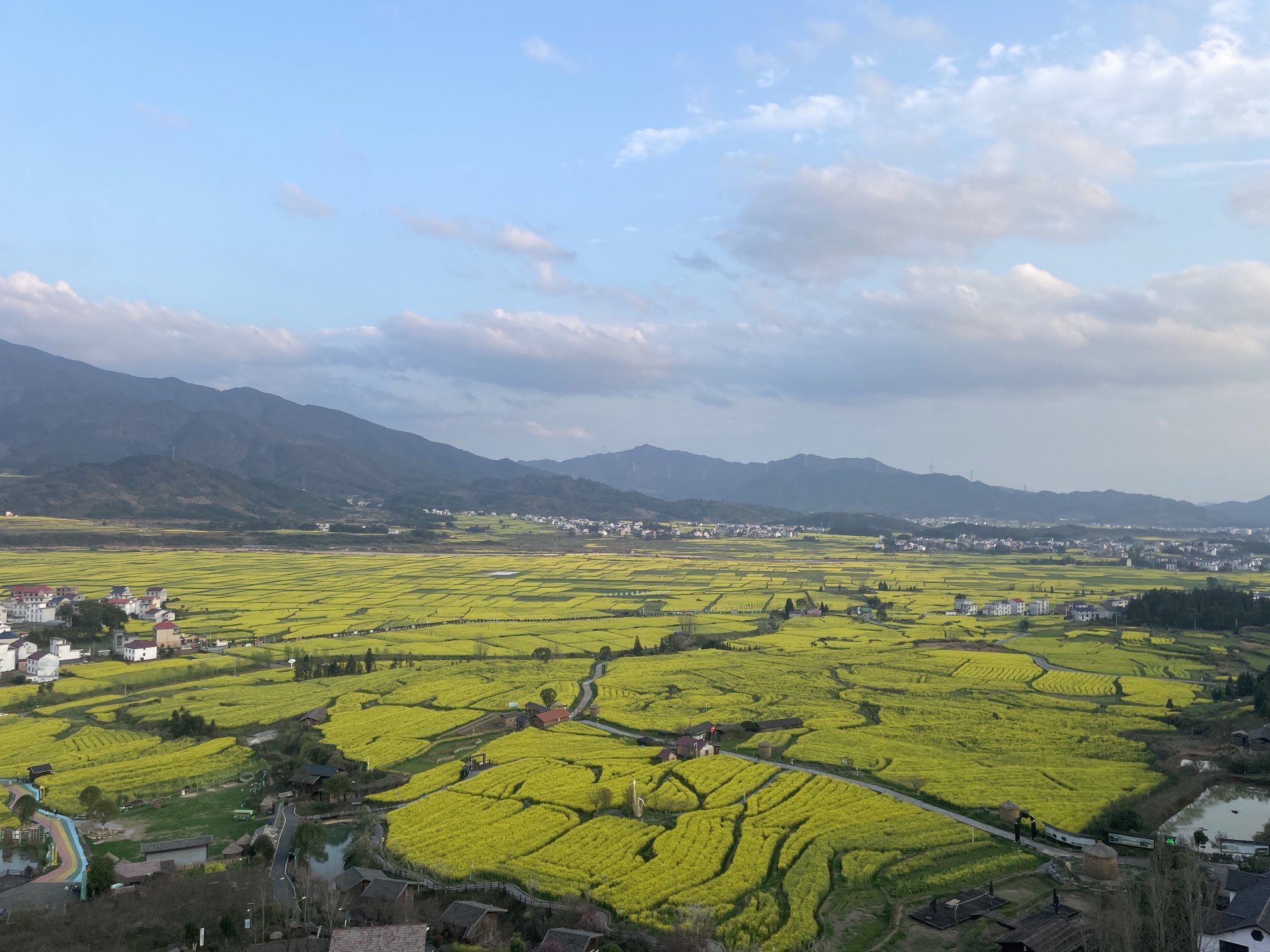 吉内得国家稻田公园旅行图片 1