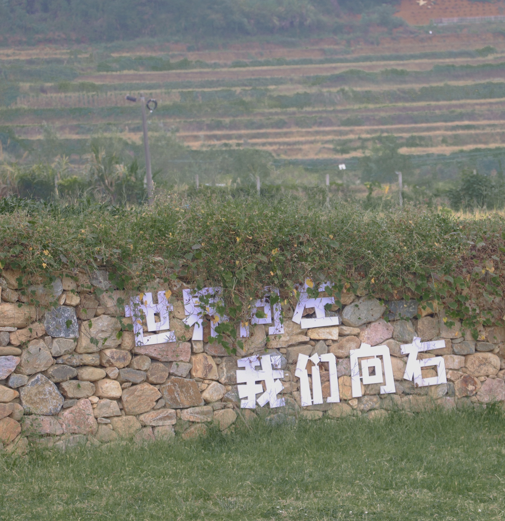 吉内得国家稻田公园旅行图片 1