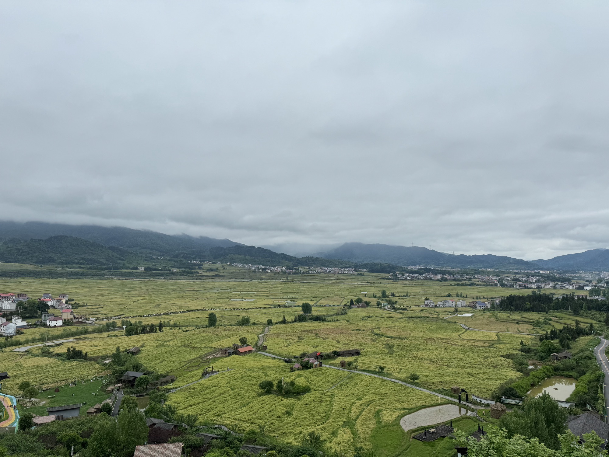 吉内得国家稻田公园旅行图片 3