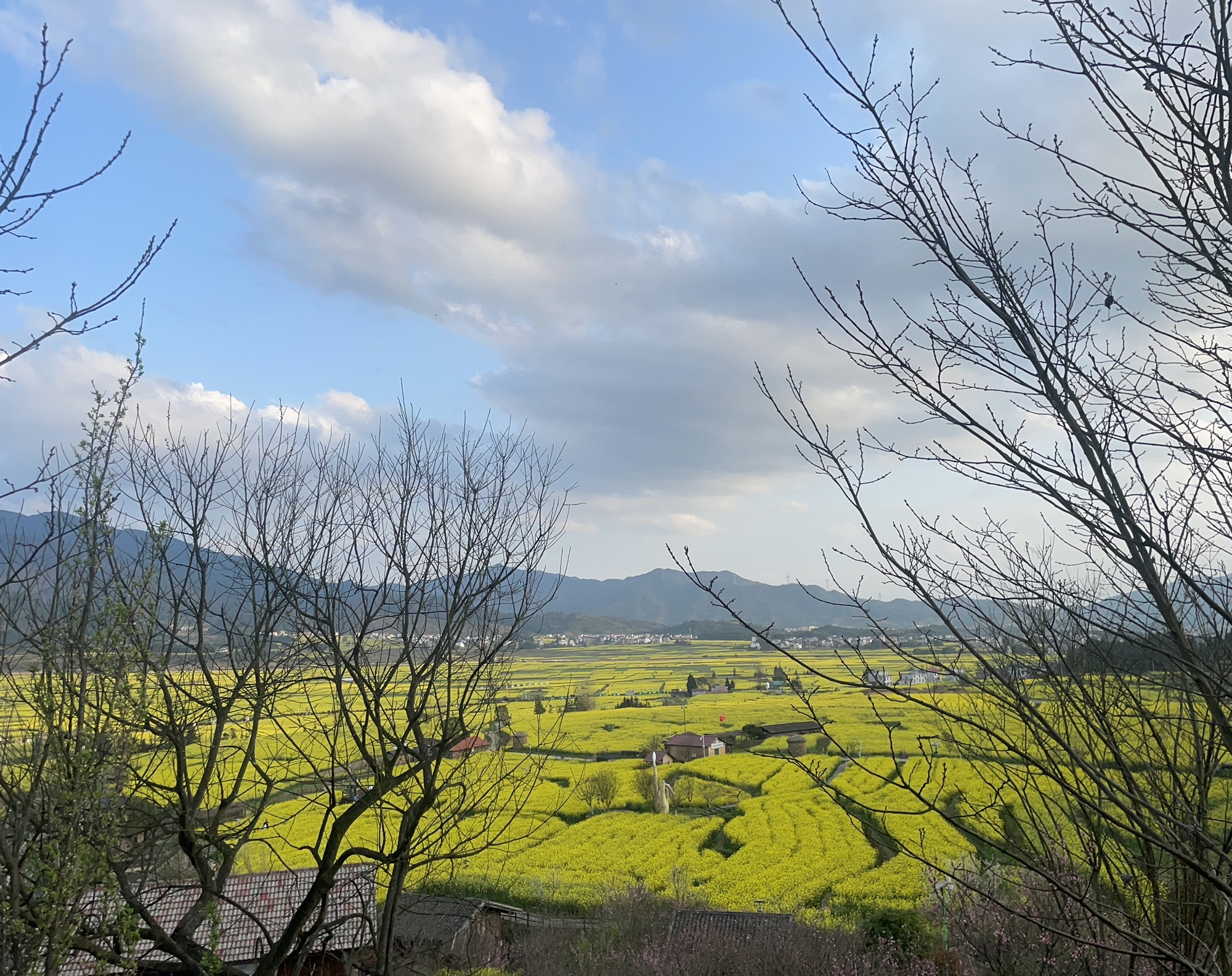 吉内得国家稻田公园旅行图片 3