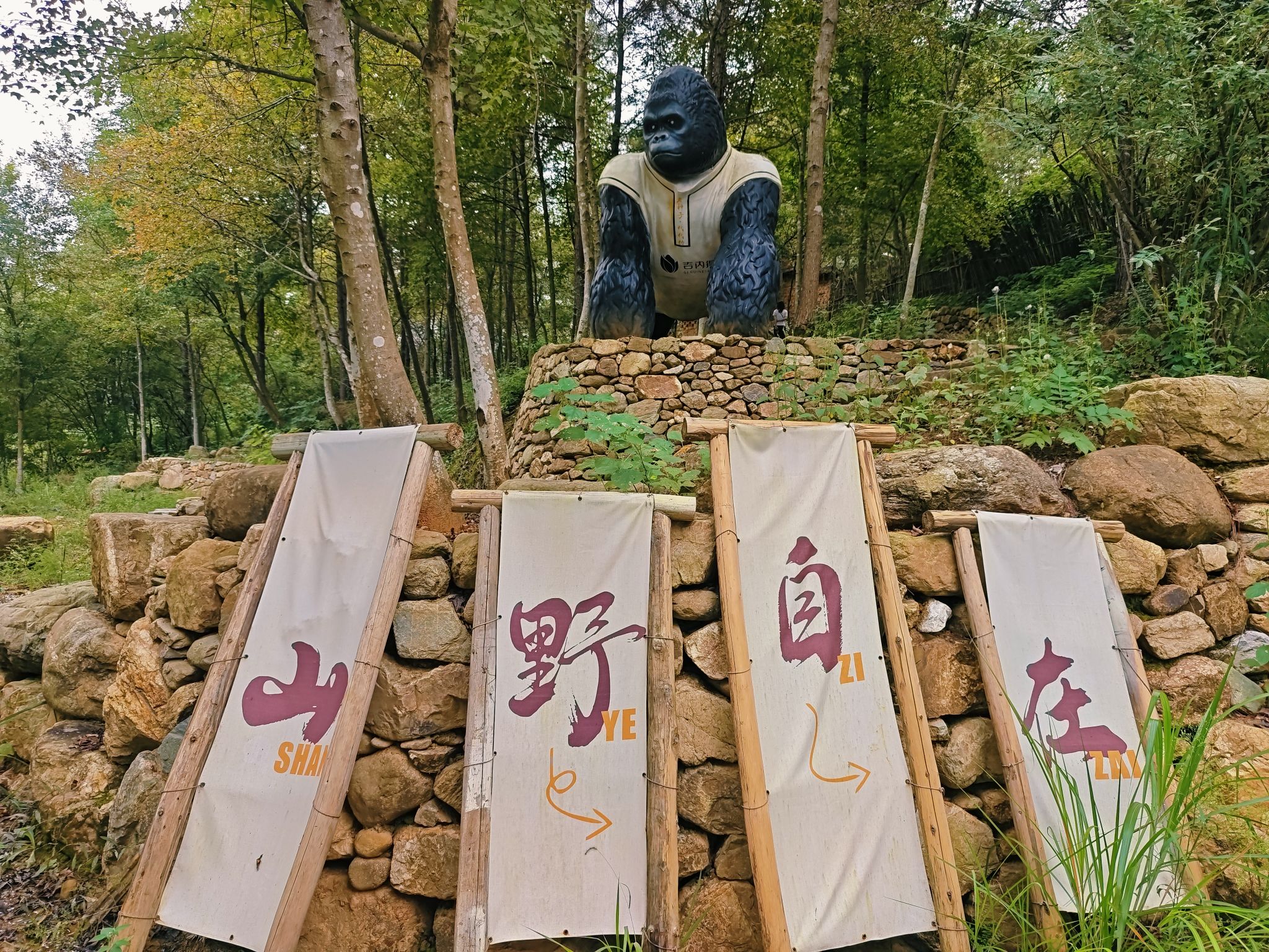 吉内得国家稻田公园旅行图片 1