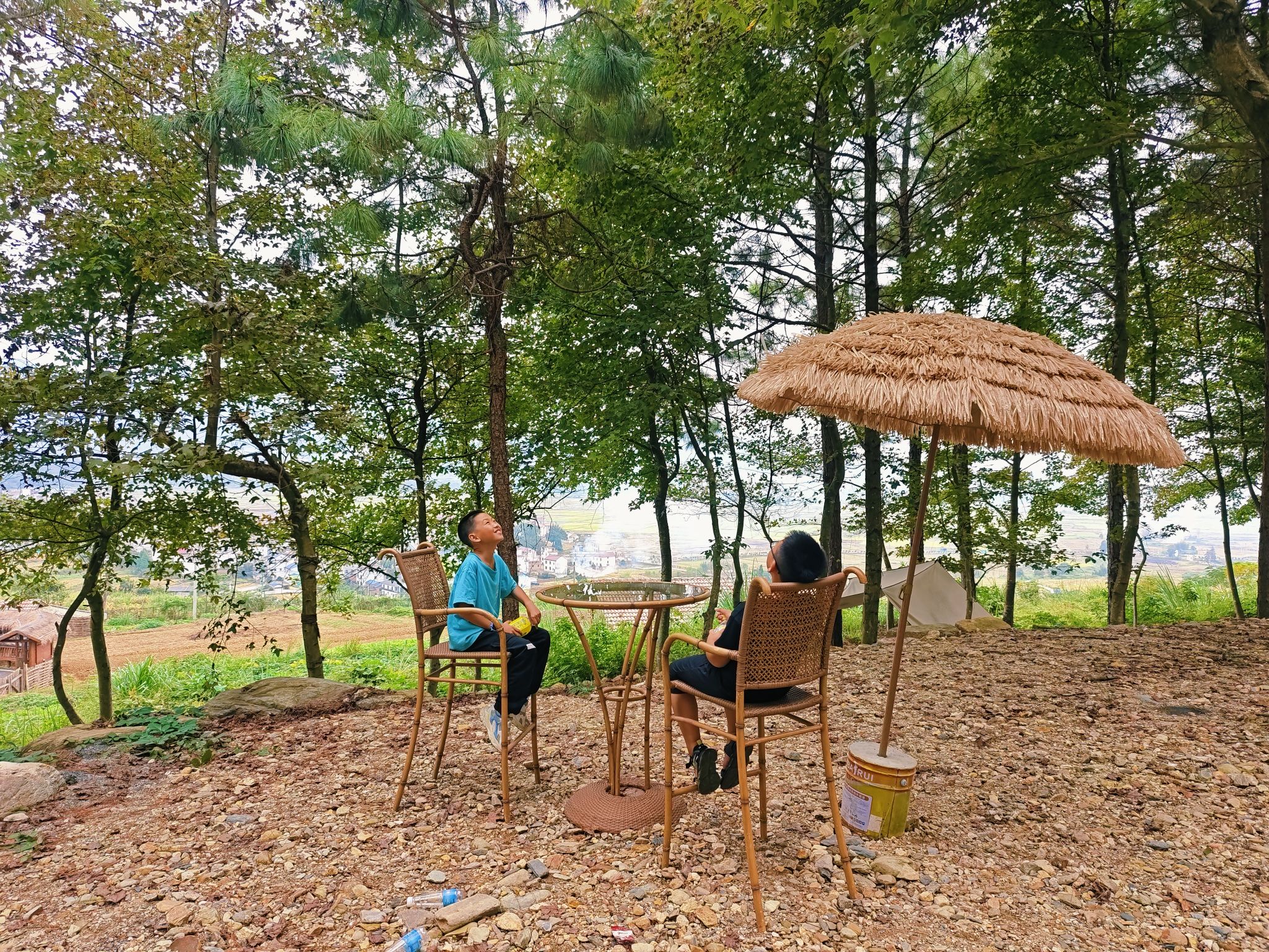 吉内得国家稻田公园旅行图片 3