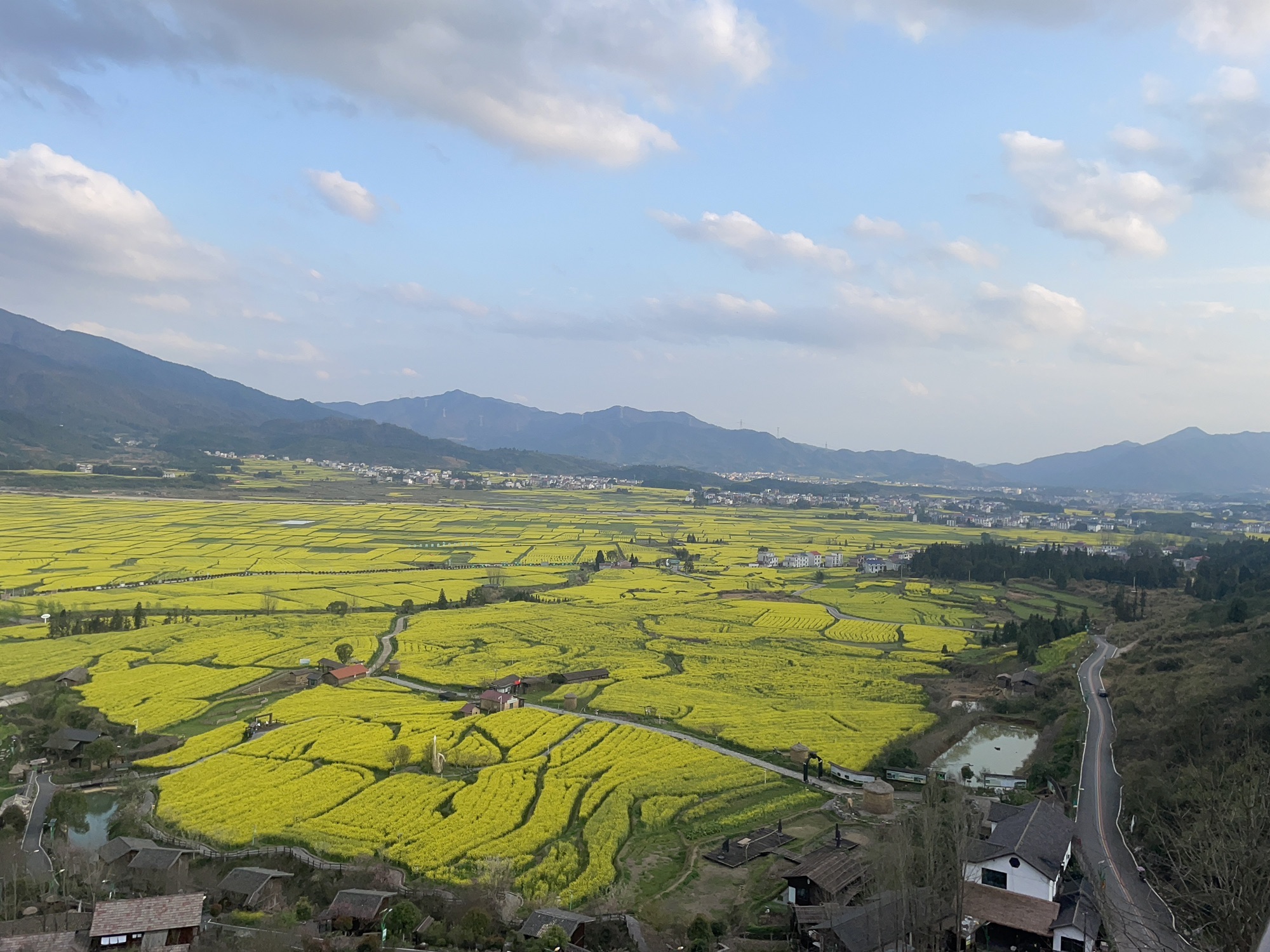 吉内得国家稻田公园旅行图片 2