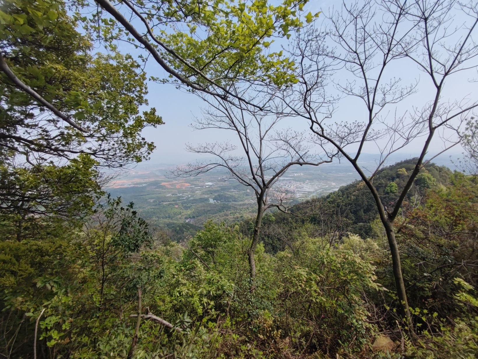 仰天岗登山步道旅行图片 3
