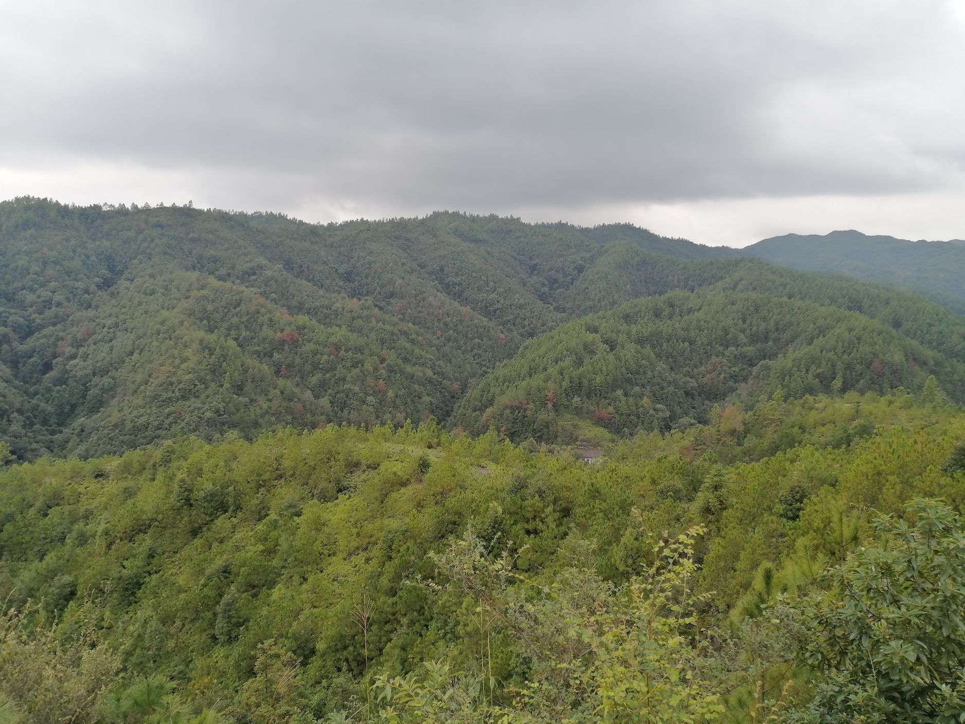 于山登山步道旅行图片 2