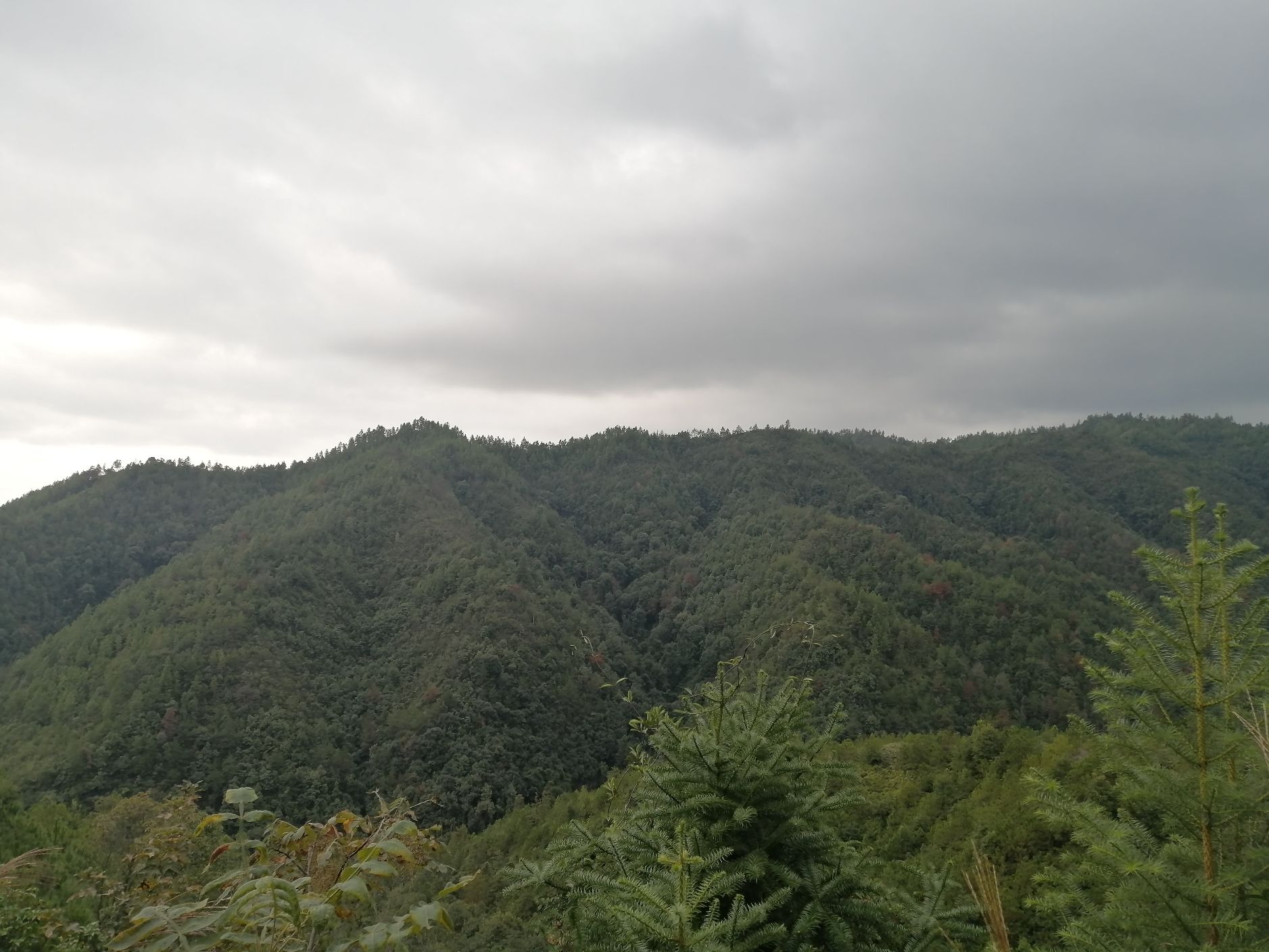 于山登山步道旅行图片 1