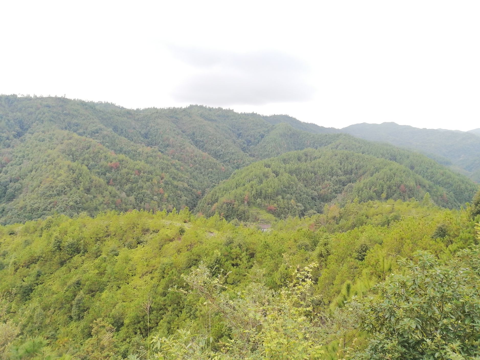 于山登山步道旅行图片 3
