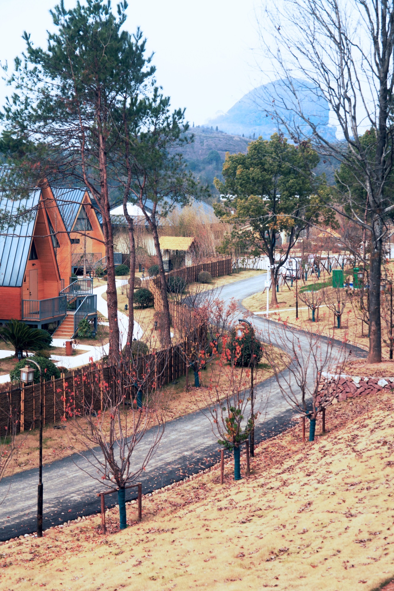 大道乾坤健走步道-观景台