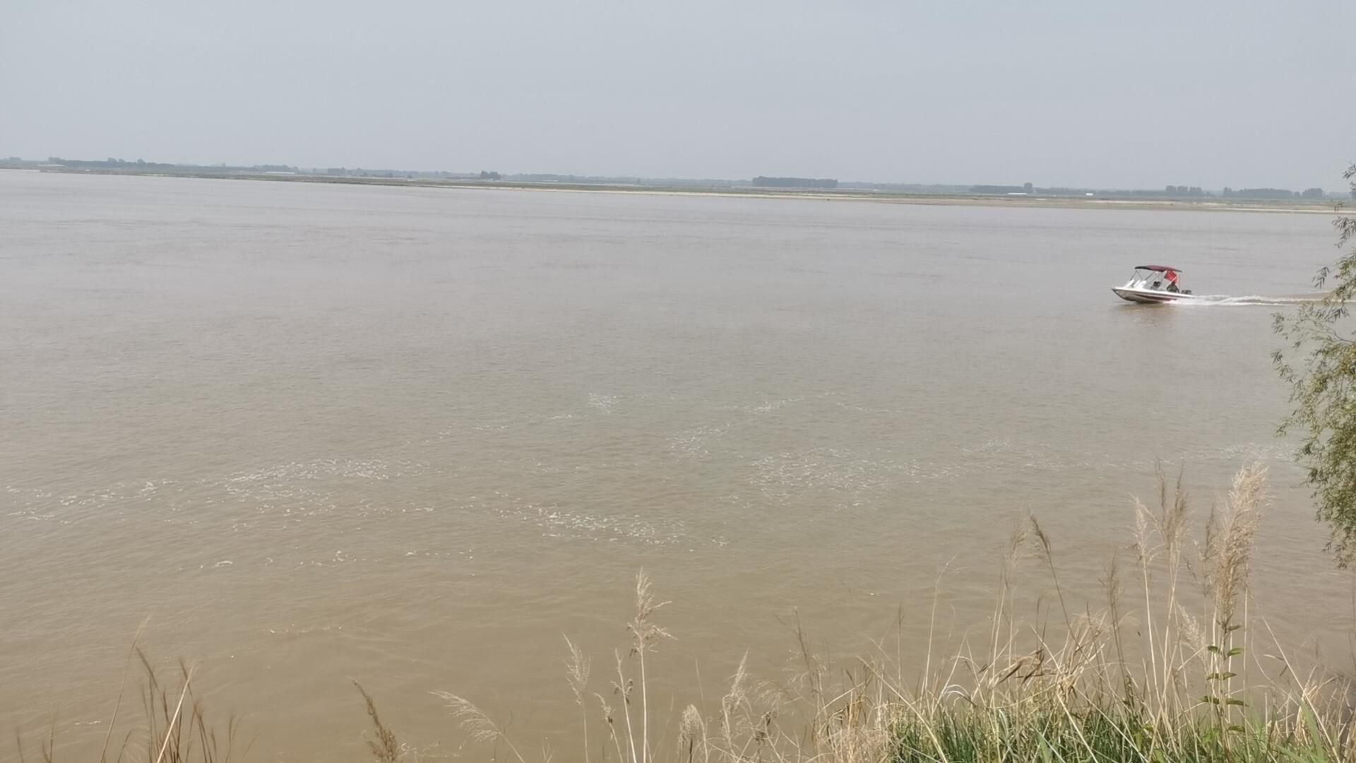 河南黄河湿地国家级自然保护区旅行图片 3