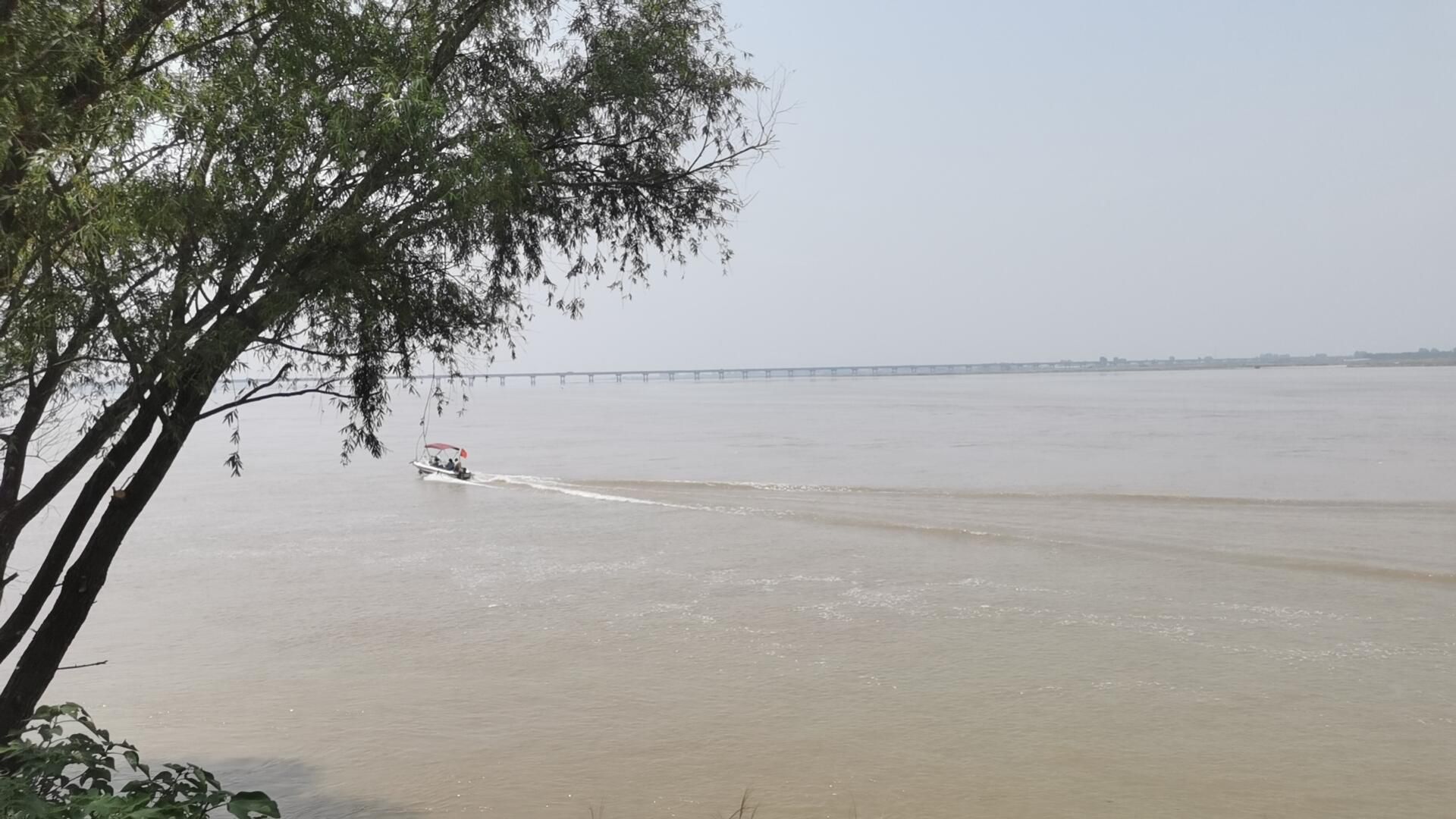 河南黄河湿地国家级自然保护区旅行图片 2