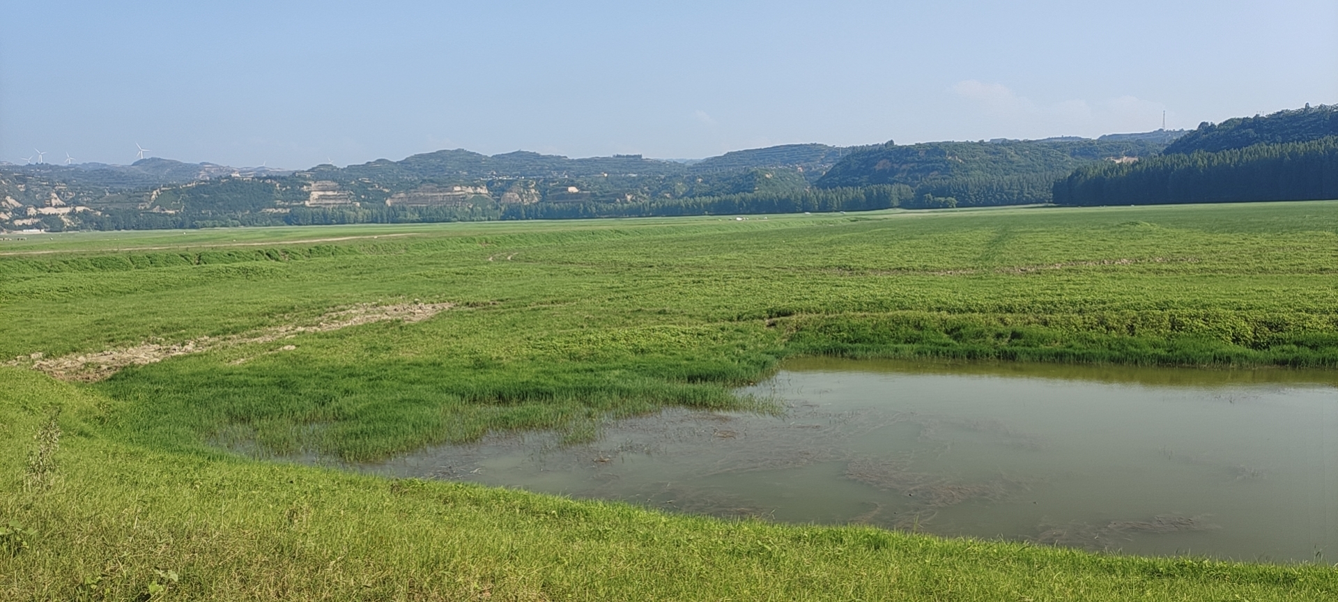 河南黄河湿地国家级自然保护区旅行图片 1