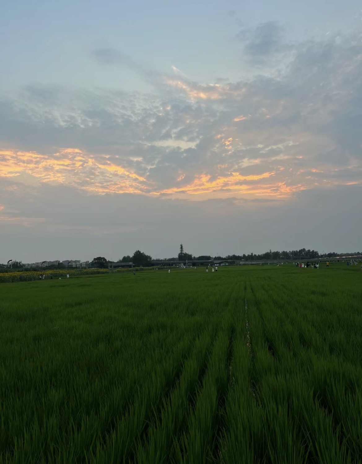 花田水乡北西尚景区旅行图片 2