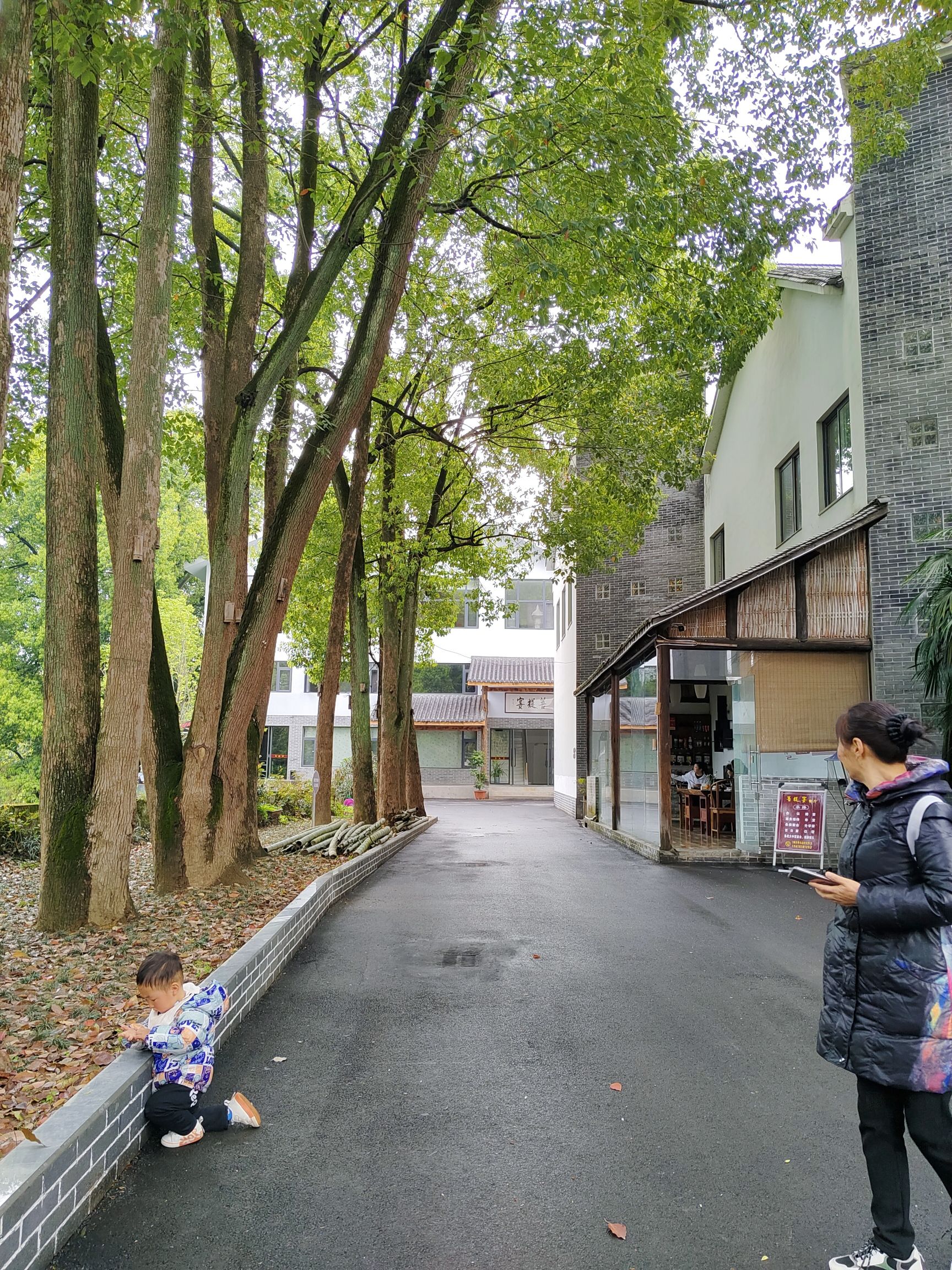 中国根书艺术馆旅行图片 3