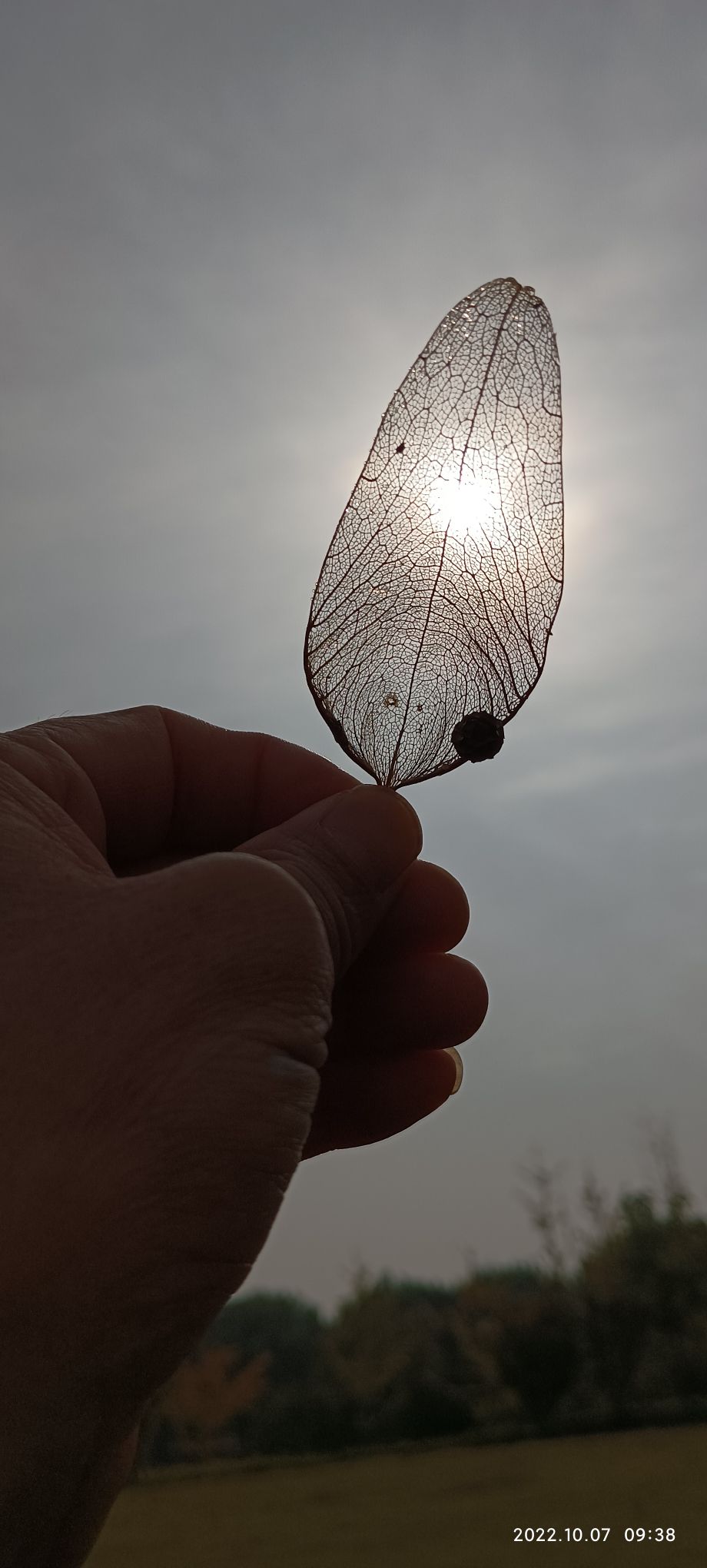 汴梁草原旅行图片 1
