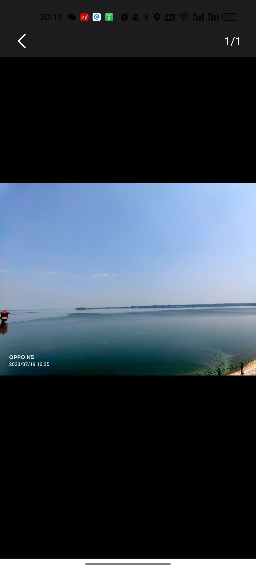 姜山湿地旅行图片 3