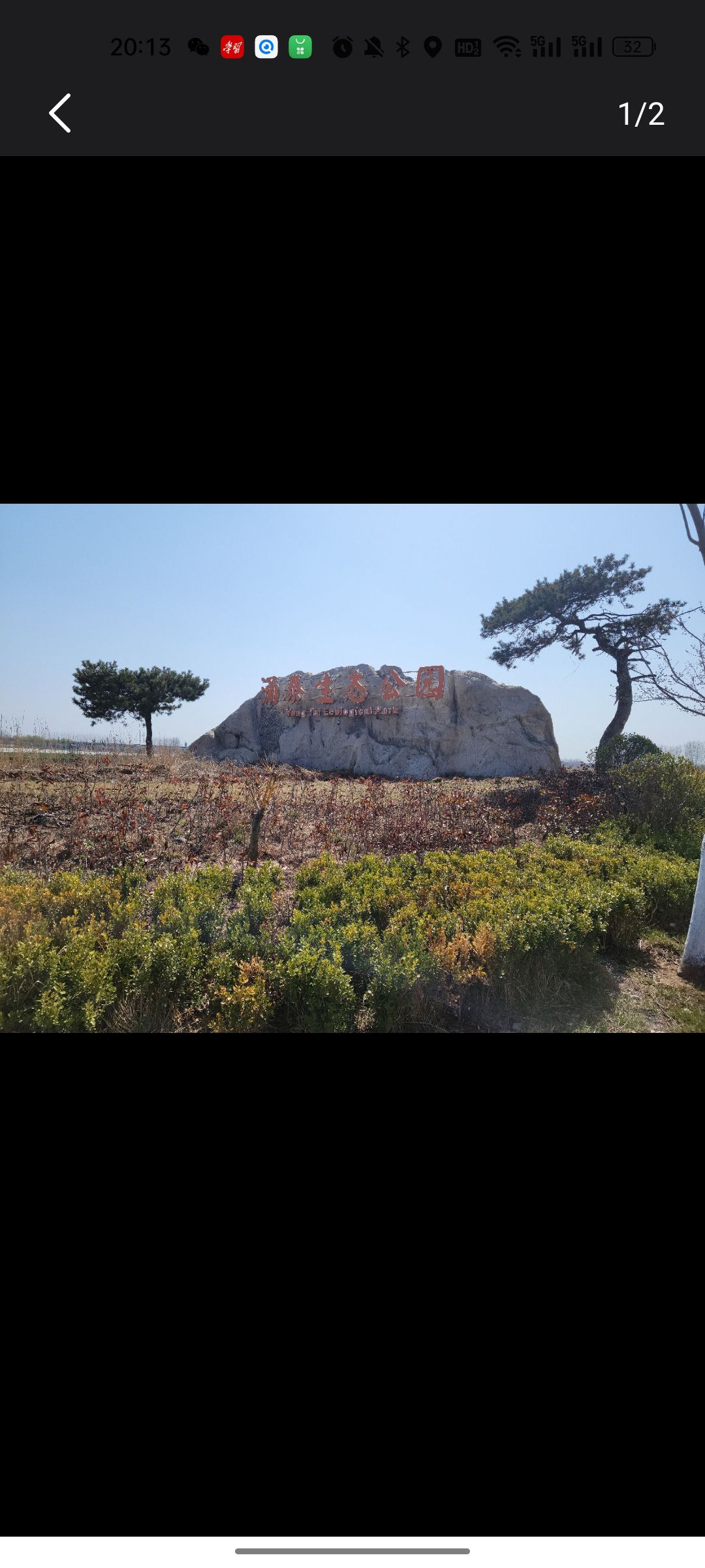姜山湿地旅行图片 2