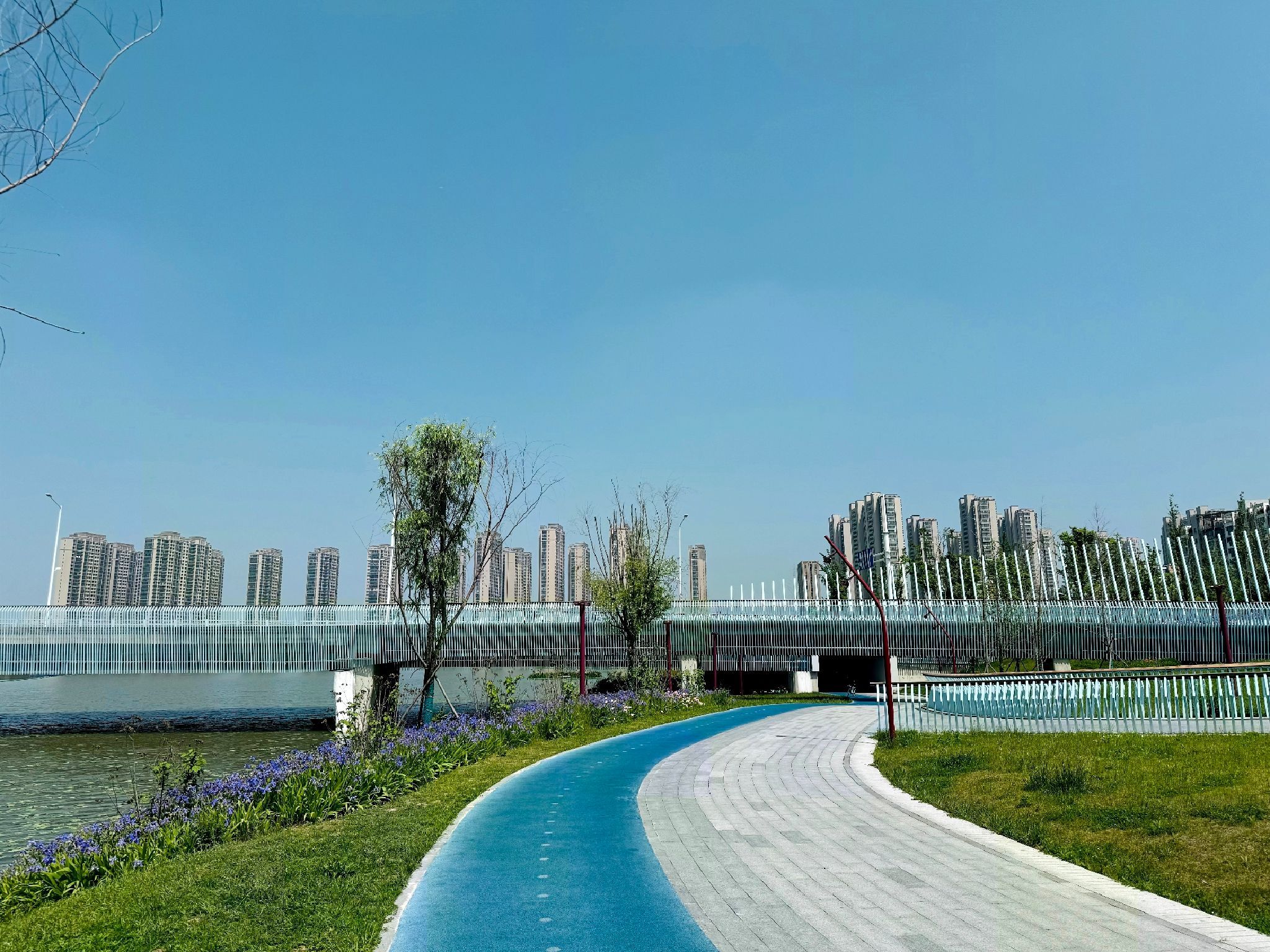 九龙湖南湖公园旅行图片 1