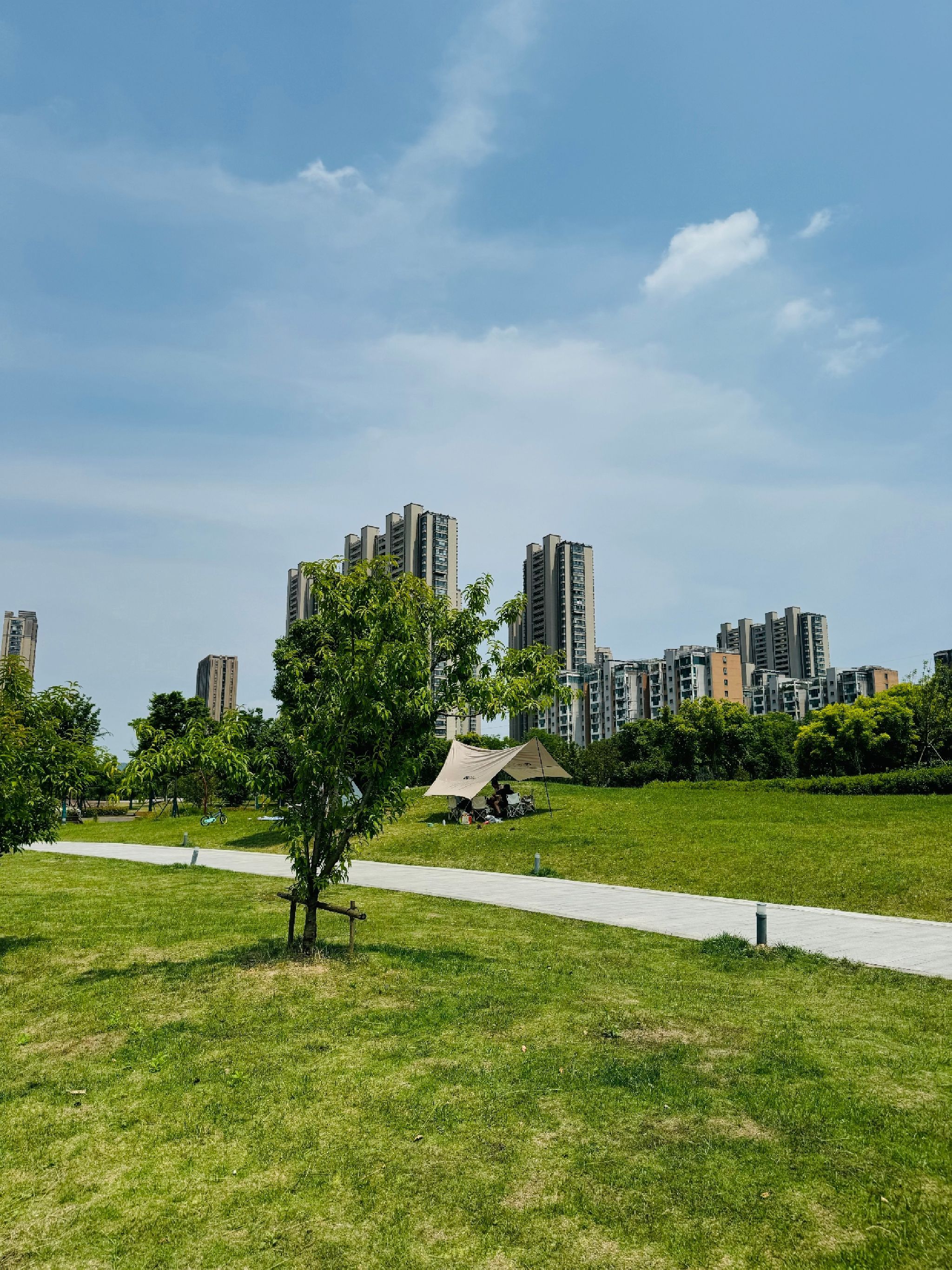 九龙湖南湖公园旅行图片 1