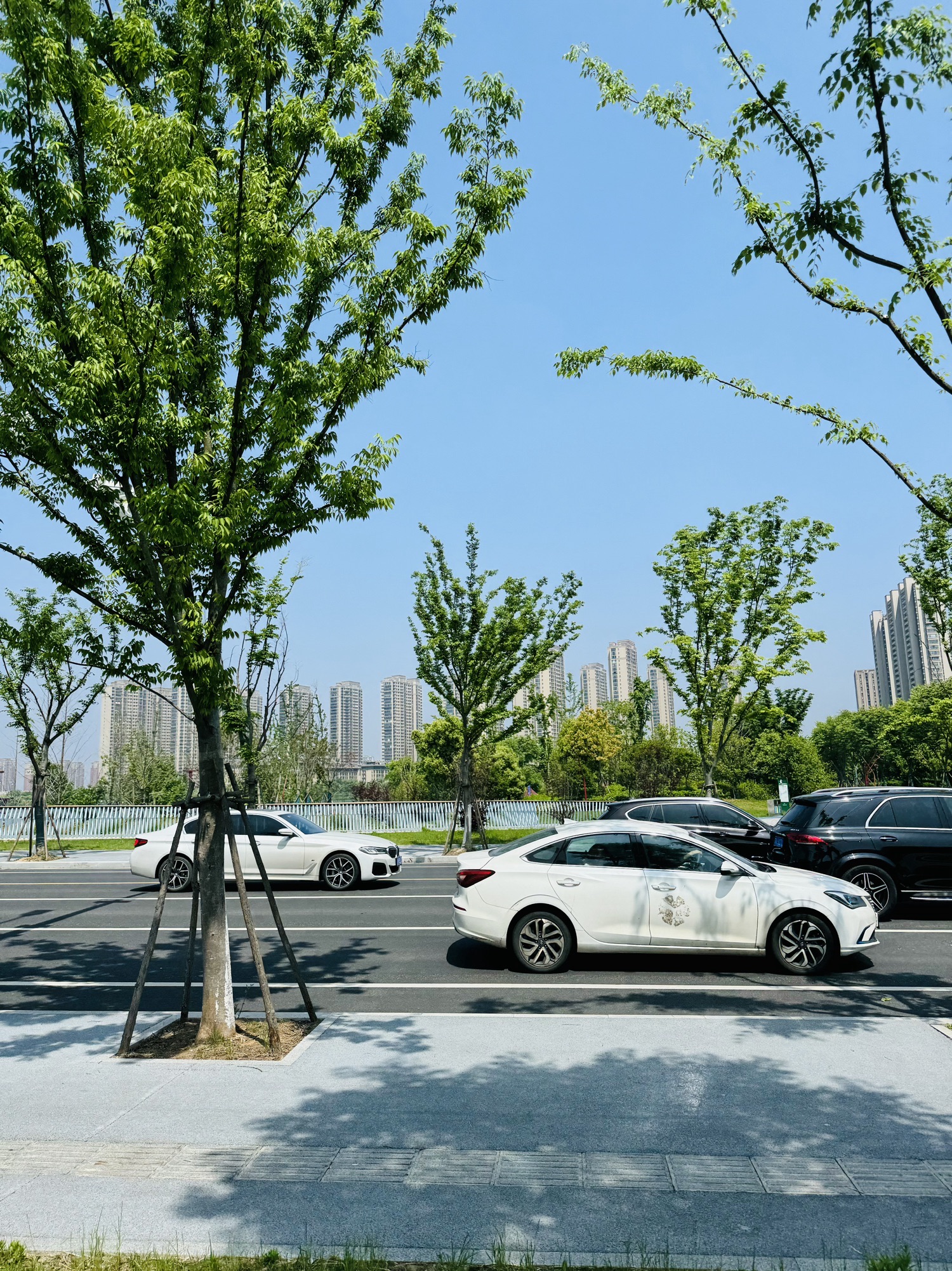 九龙湖南湖公园旅行图片 2