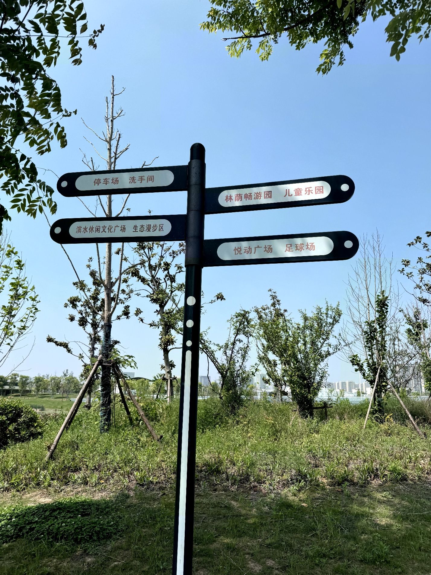 九龙湖南湖公园旅行图片 2
