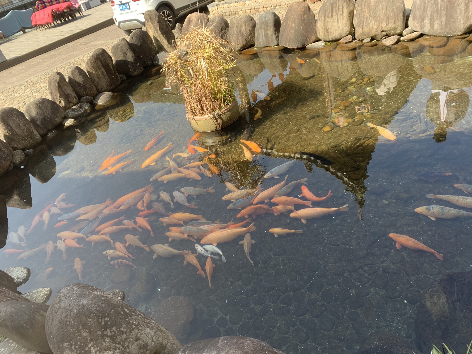 龙泉住龙景区旅行图片 1