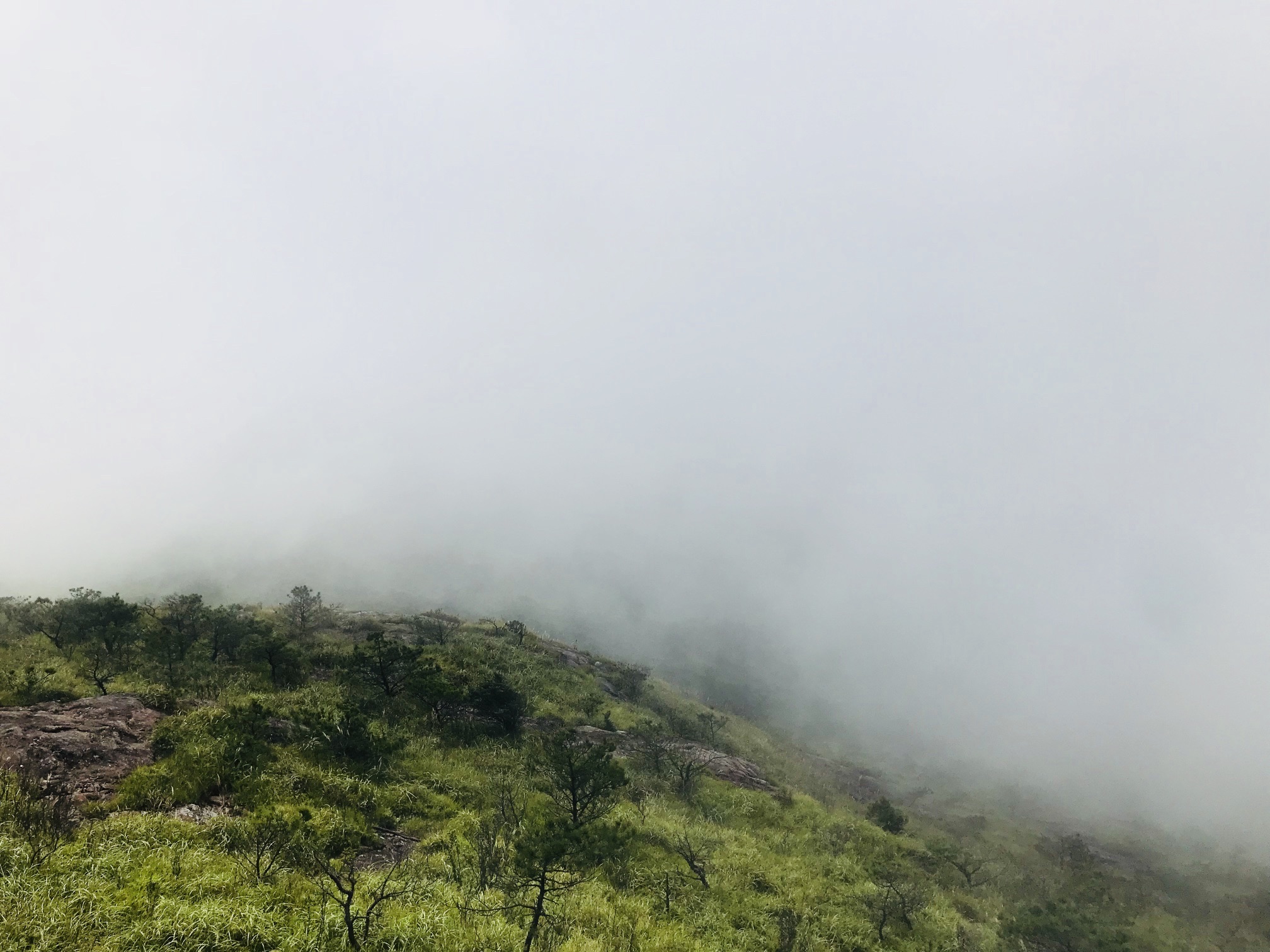 龙泉住龙景区旅行图片 2