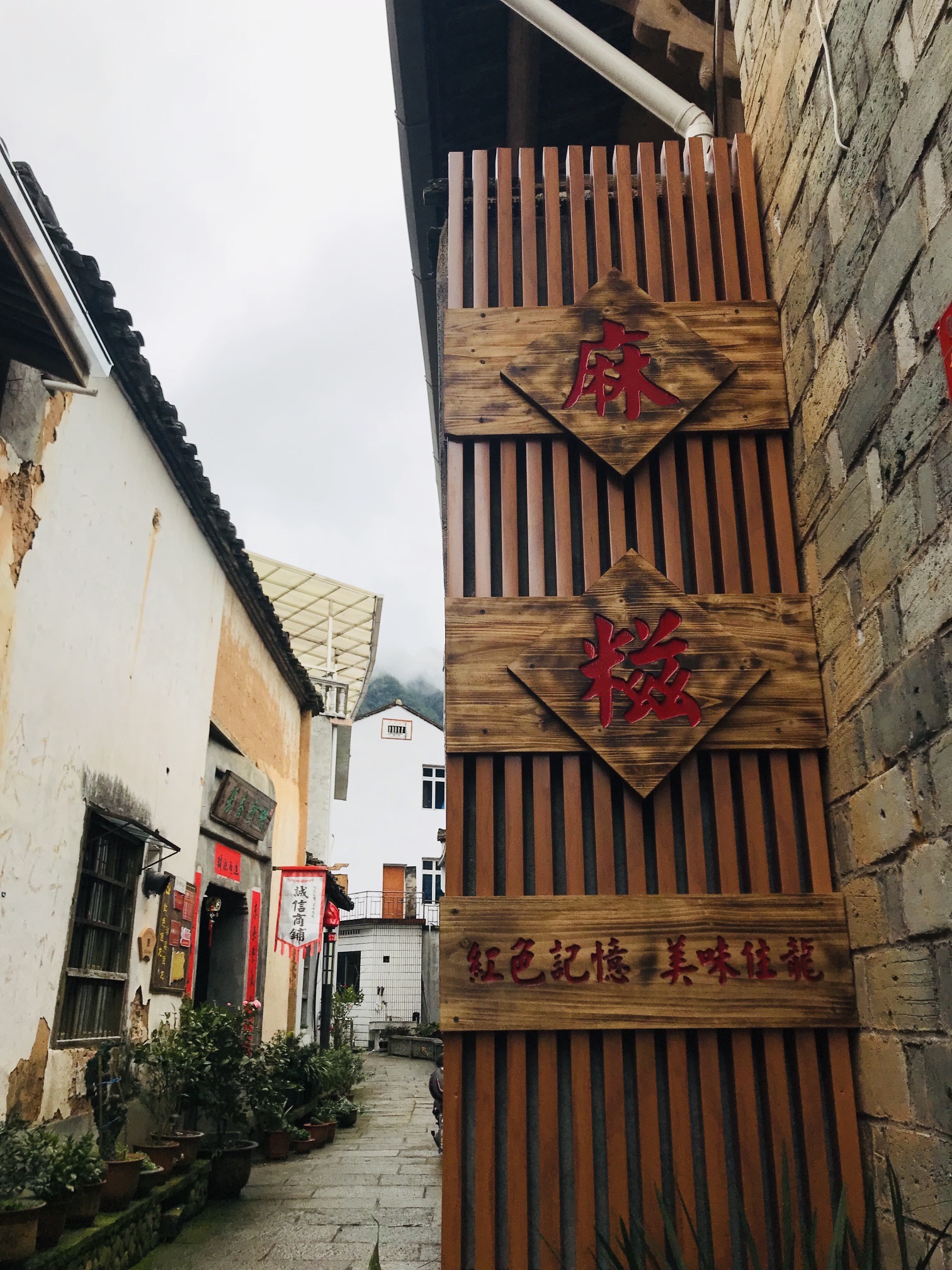 龙泉住龙景区旅行图片 1