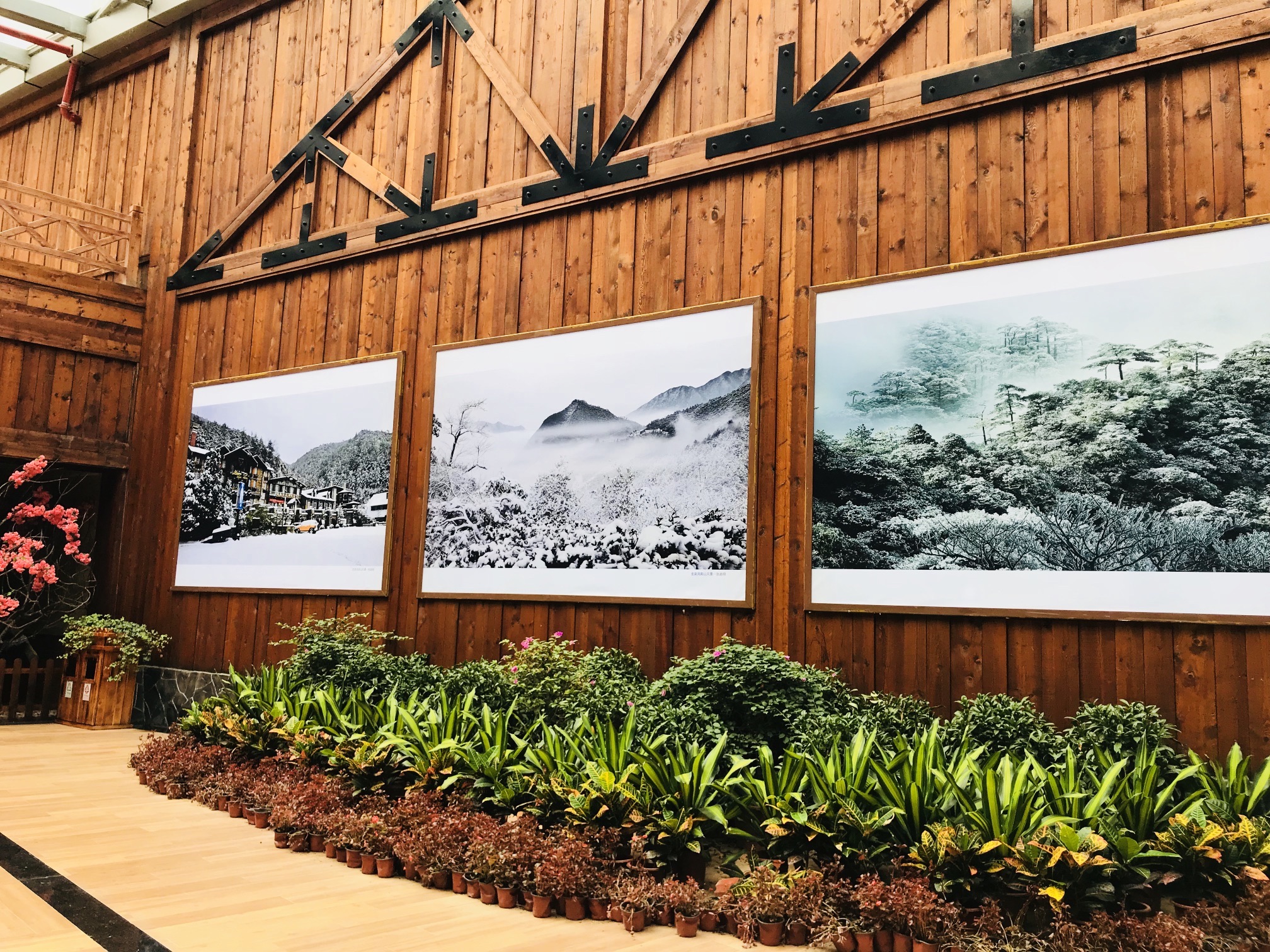 龙泉住龙景区
