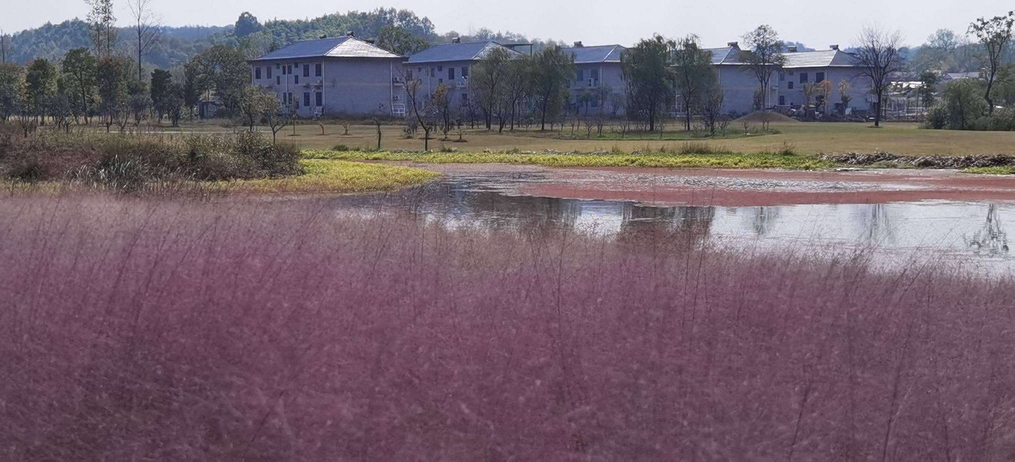 东淠河生态湿地公园旅行图片 1